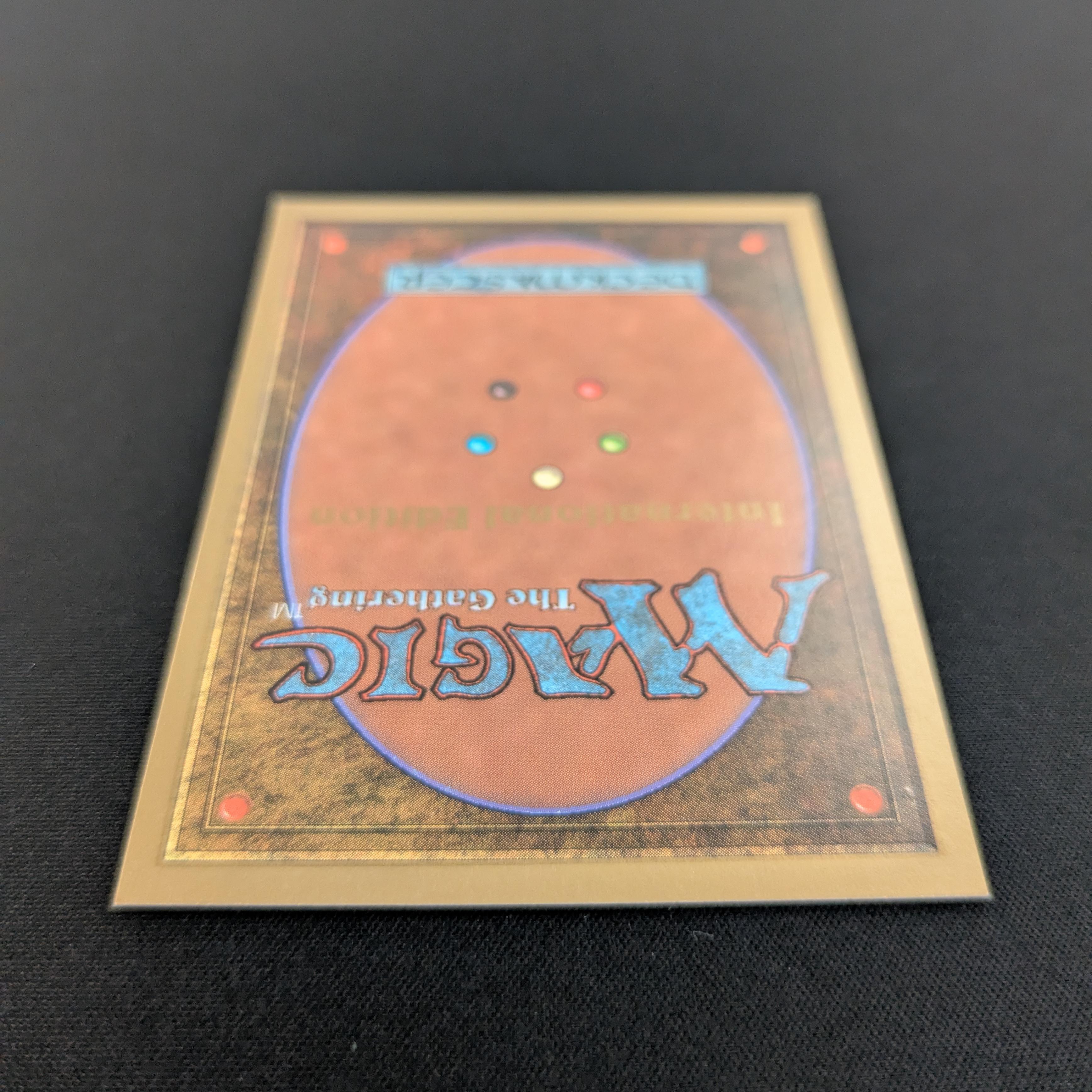 MTG Singles - Taiga - International Edition -