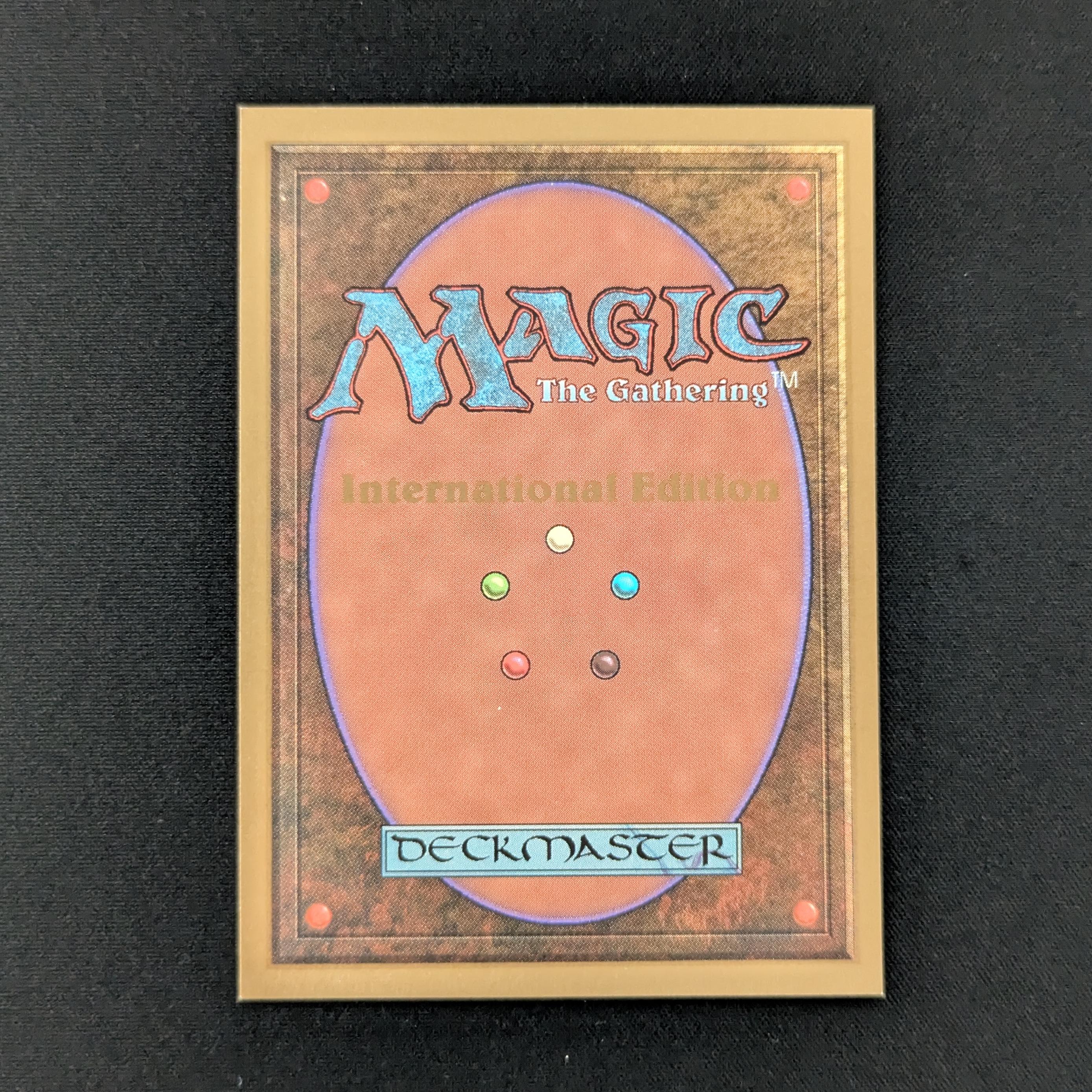 MTG Singles - Tundra - International Edition -