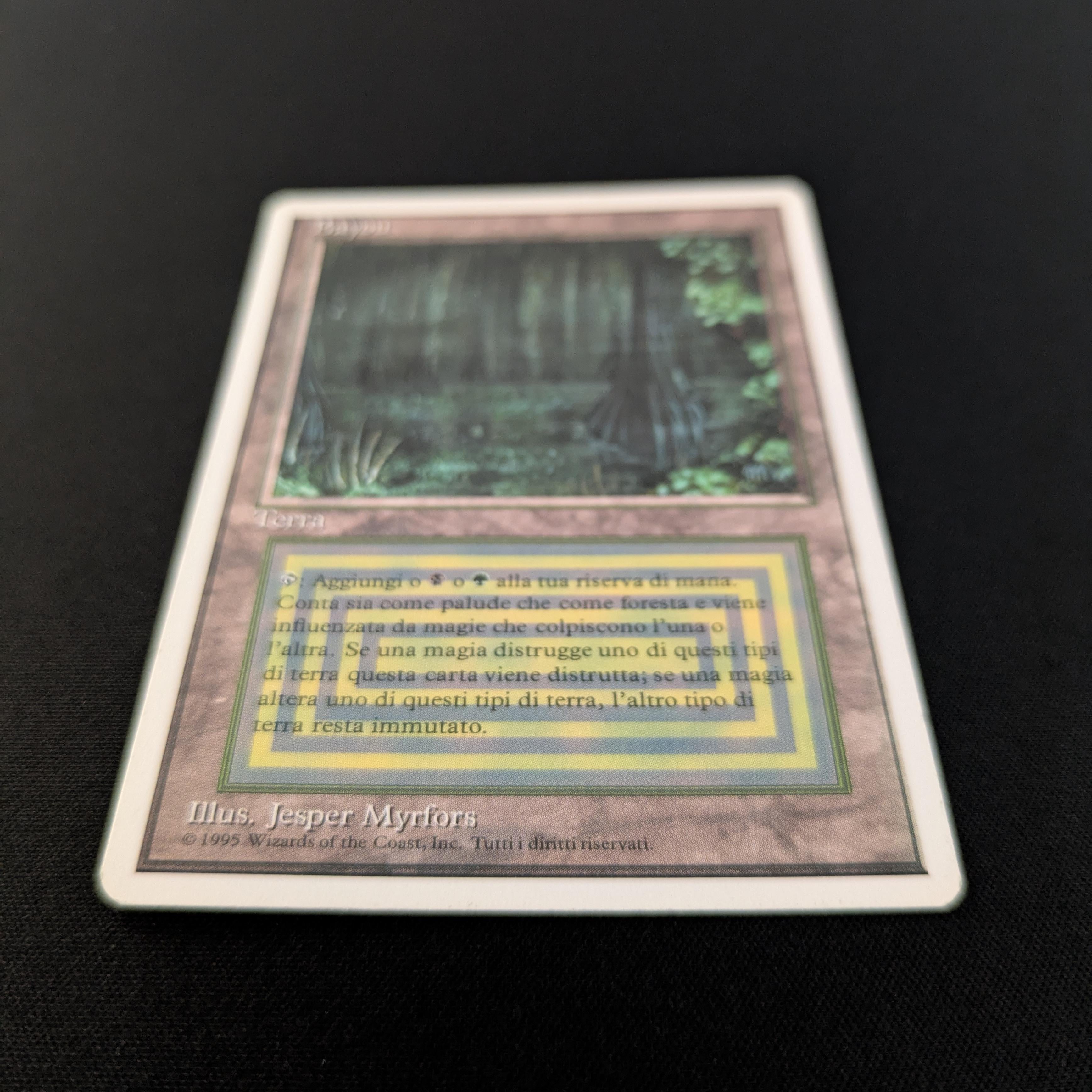 MTG Singles - Bayou - Foreign White Bordered -