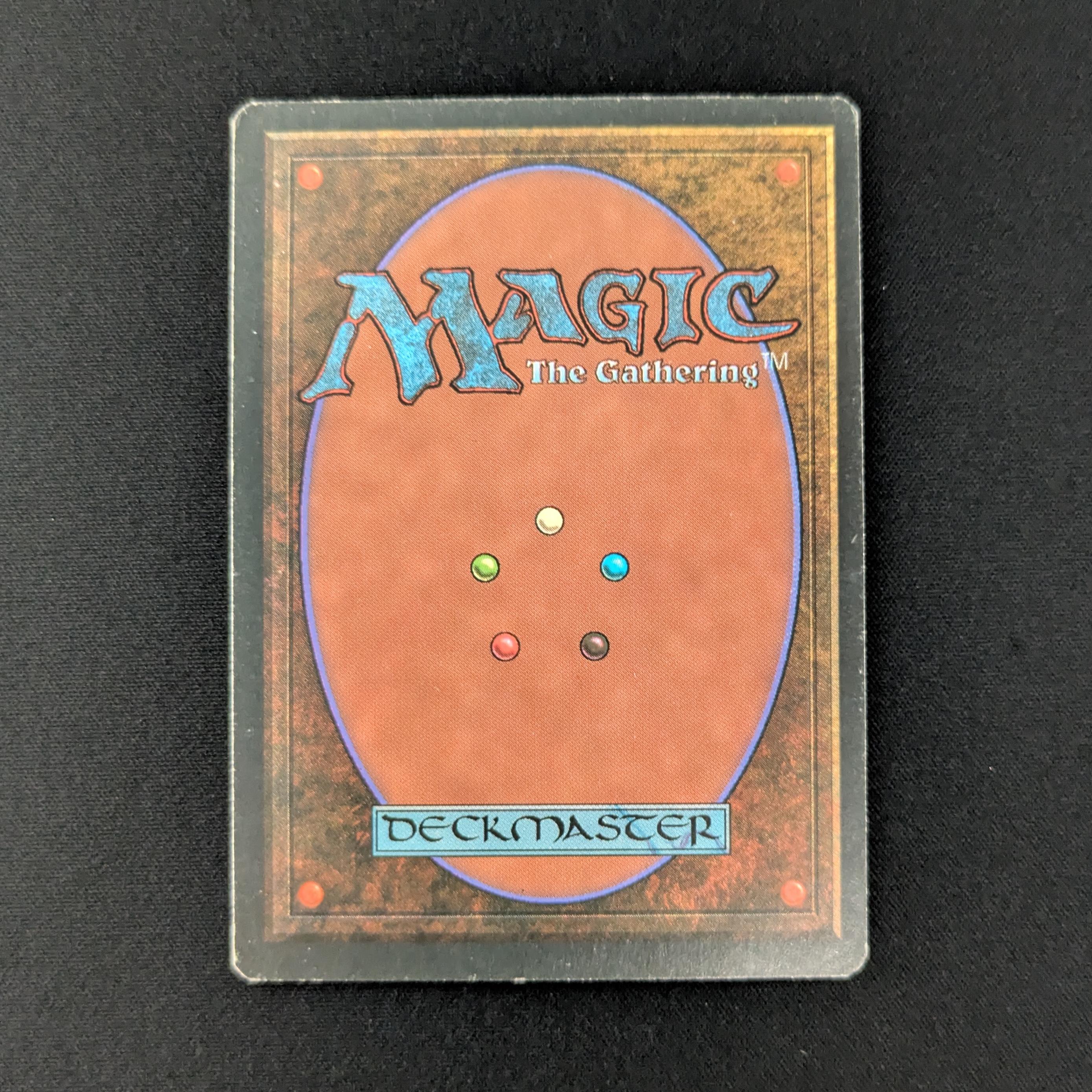 MTG Singles - Bayou - Foreign White Bordered -