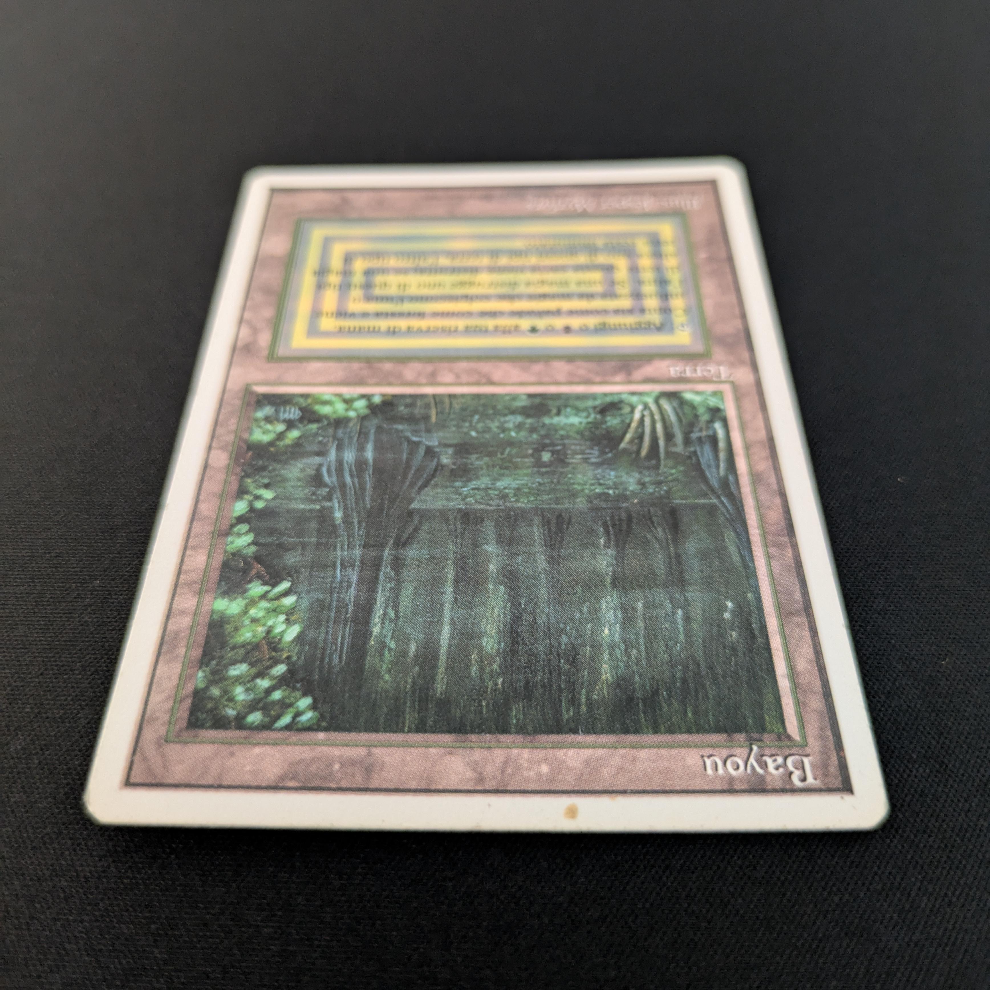 MTG Singles - Bayou - Foreign White Bordered -