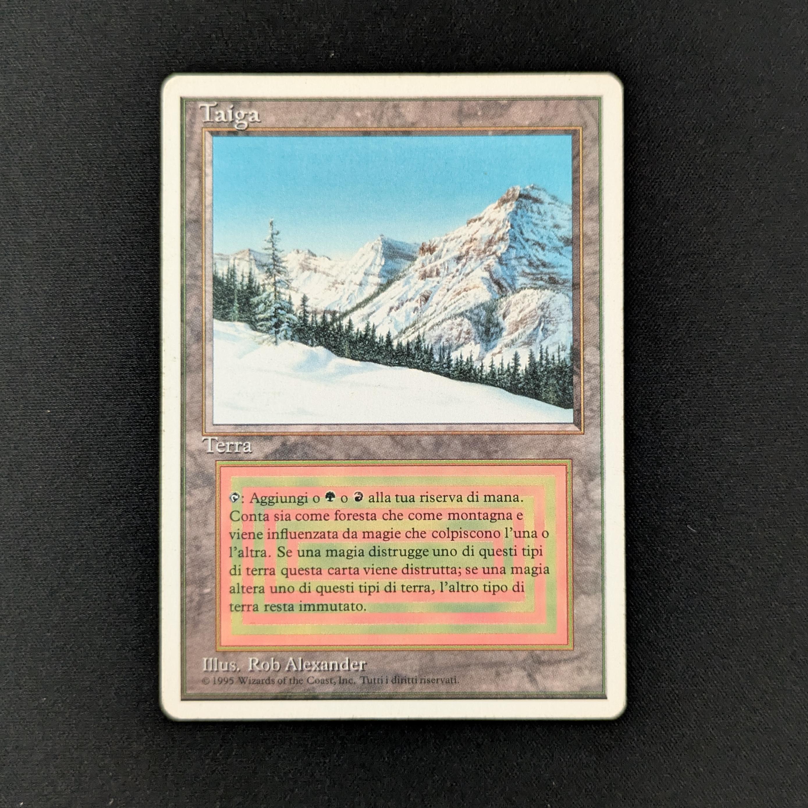 MTG Singles - Taiga - Foreign White Bordered - Italian - PL - 28160