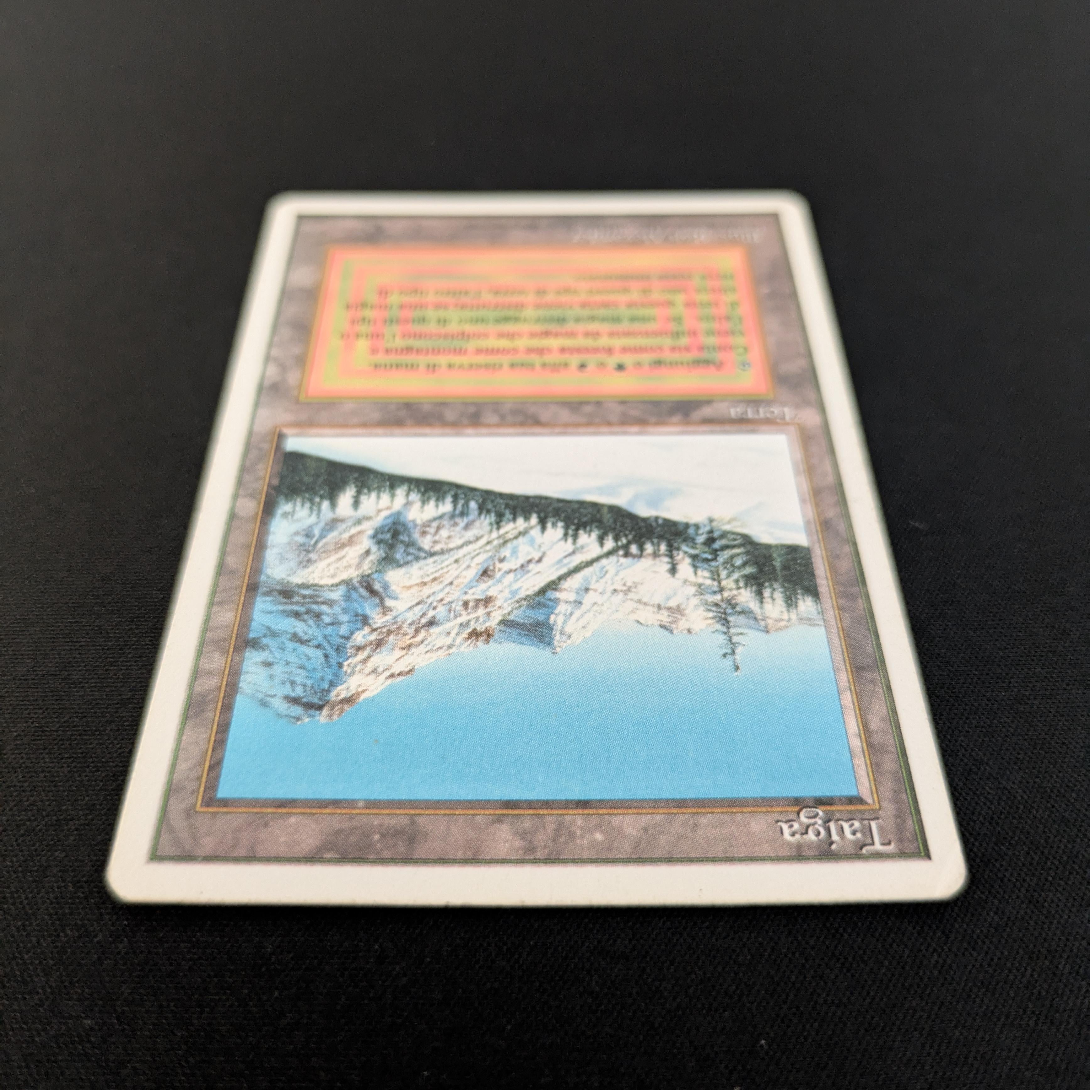 MTG Singles - Taiga - Foreign White Bordered -