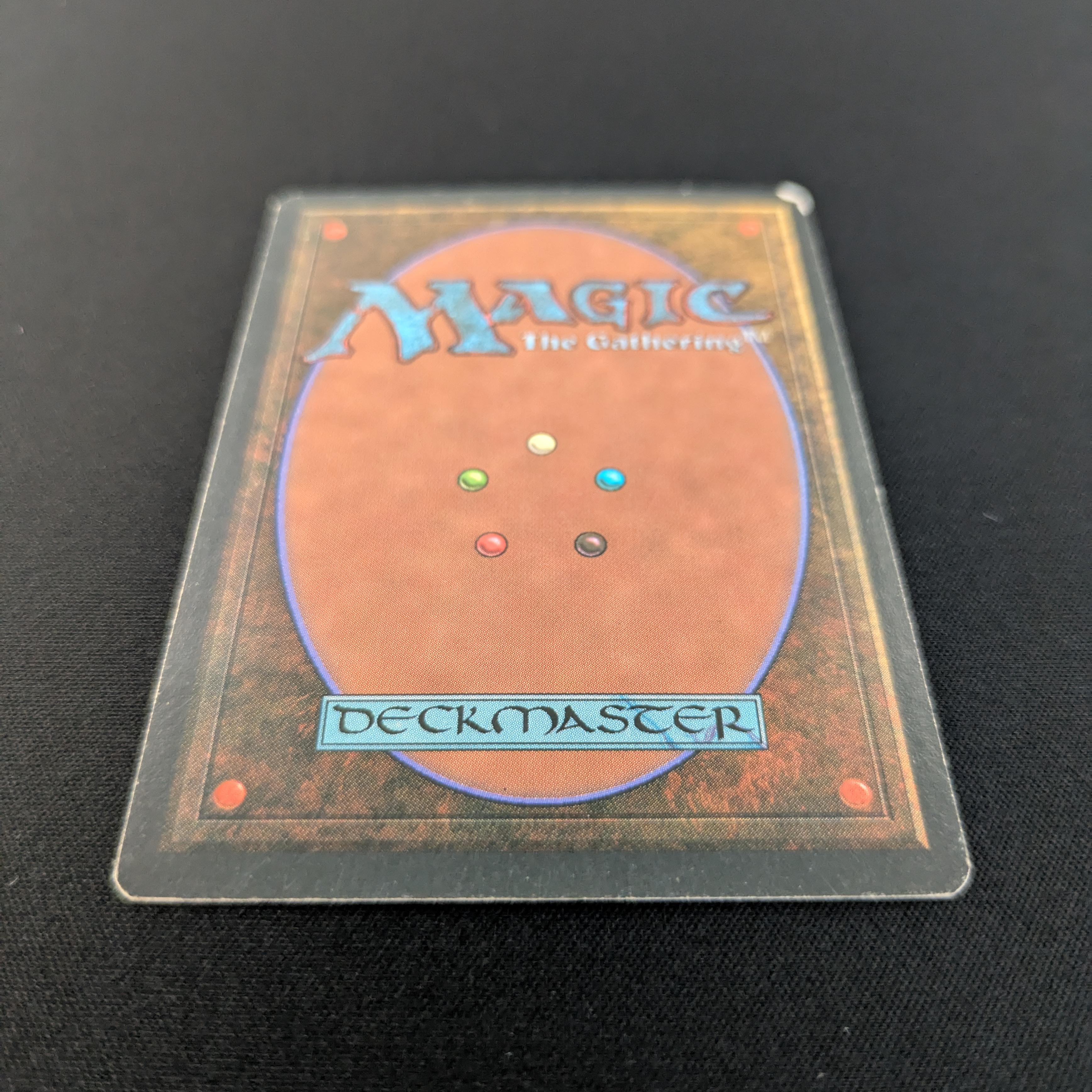 MTG Singles - Taiga - Foreign White Bordered -