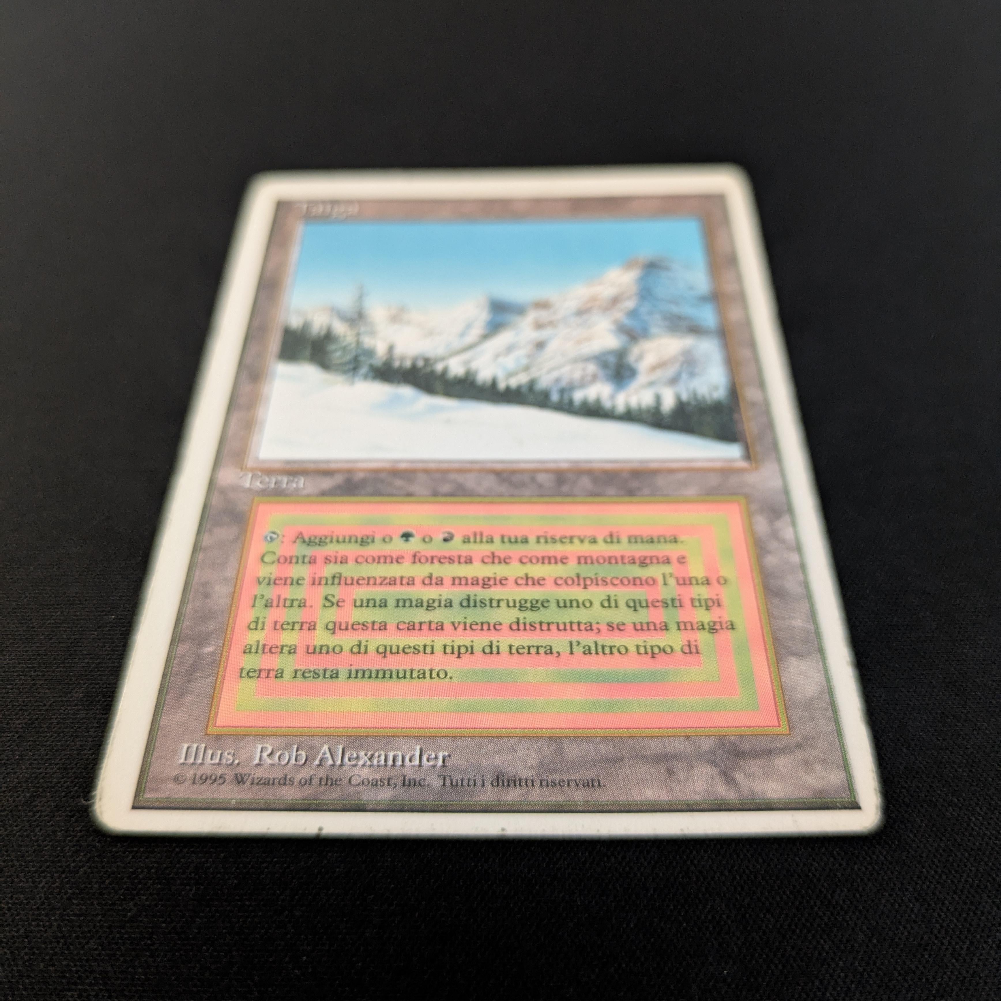 MTG Singles - Taiga - Foreign White Bordered -