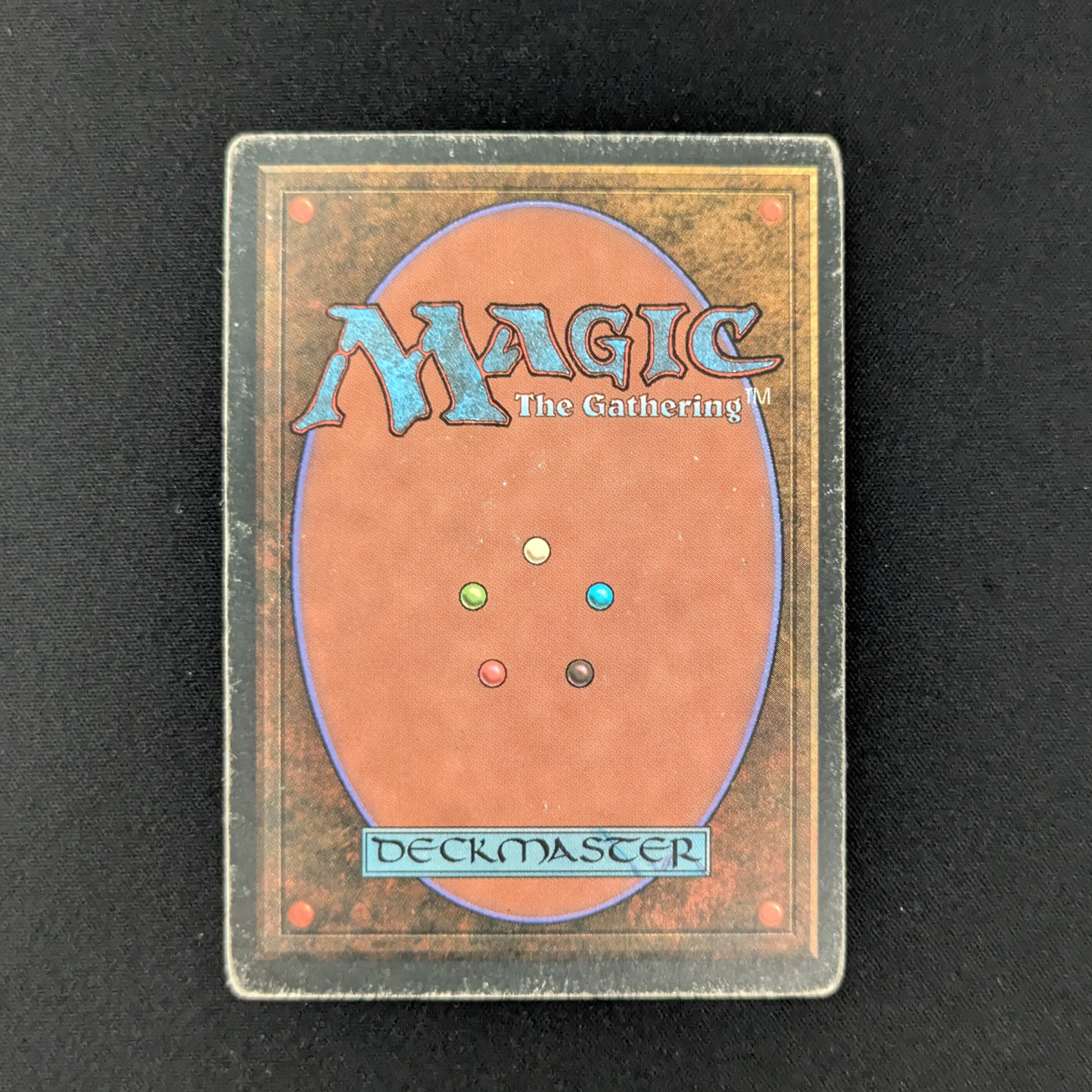 MTG Singles - Taiga - Foreign White Bordered -