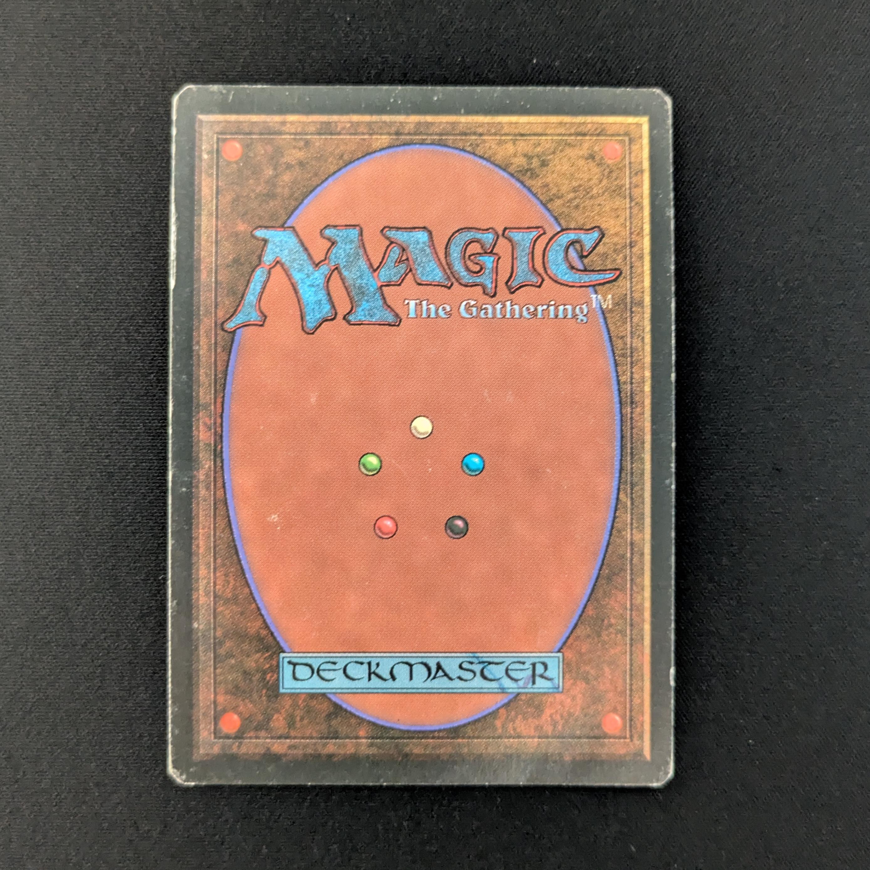 MTG Singles - Bayou - Foreign Black Bordered -