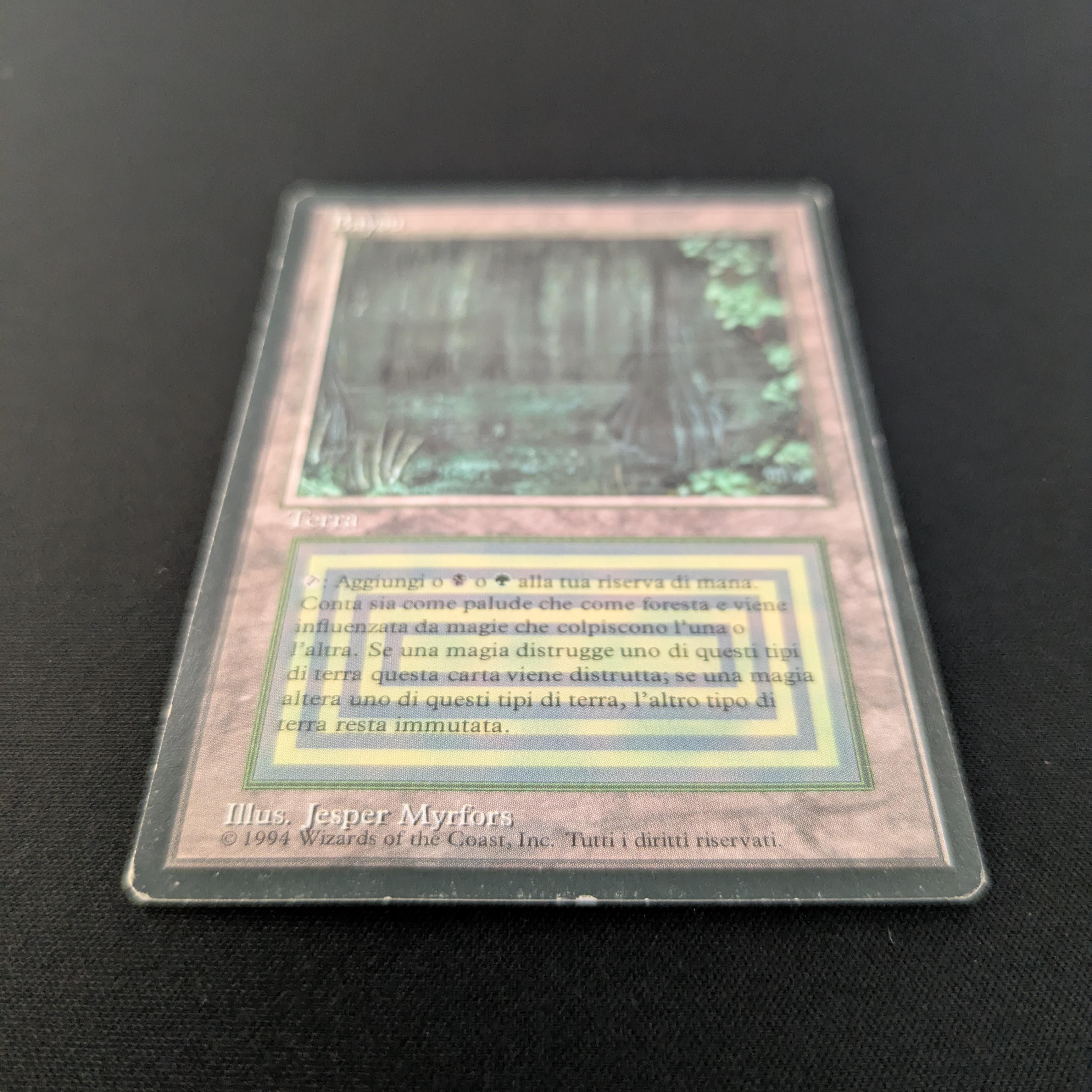 MTG Singles - Bayou - Foreign Black Bordered -