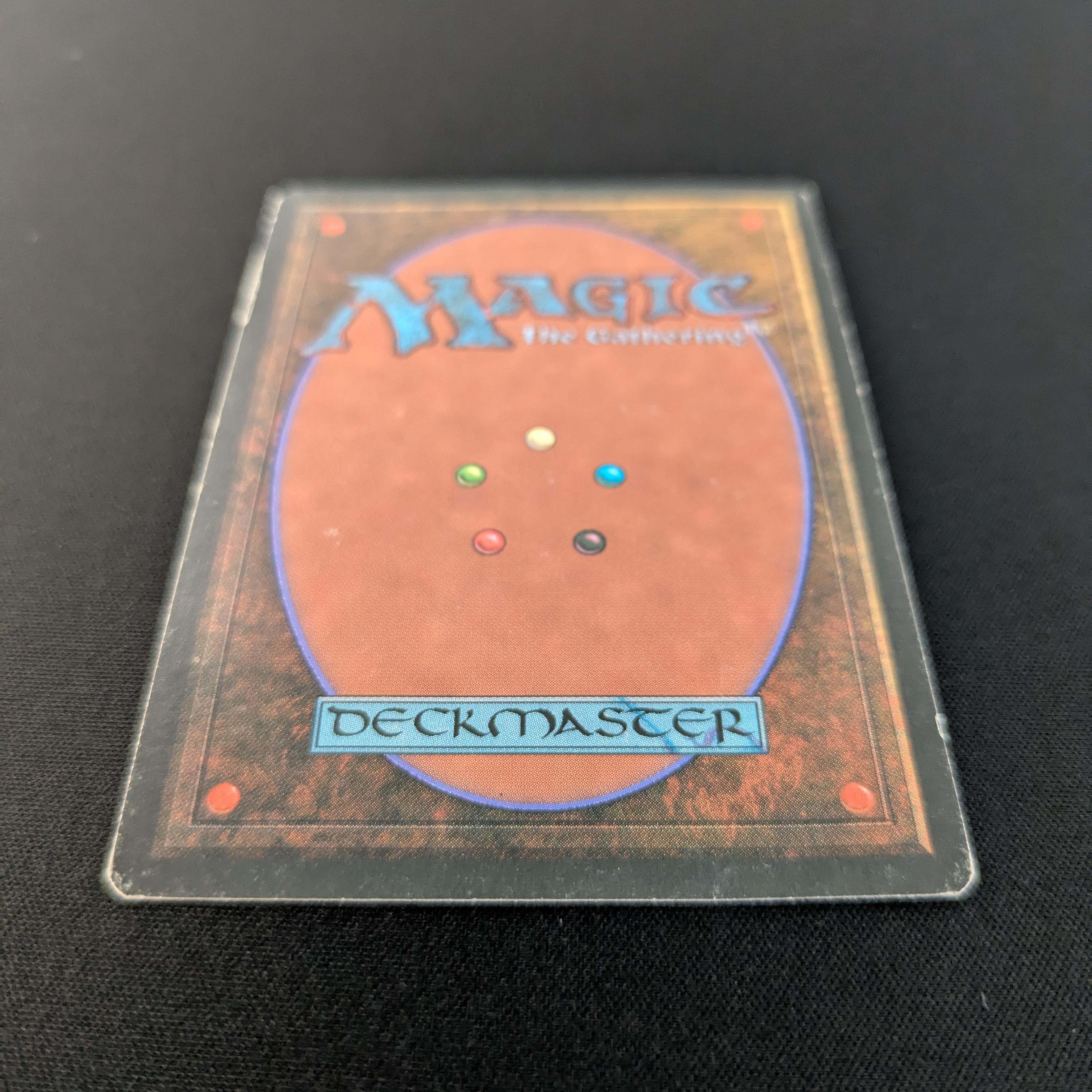MTG Singles - Bayou - Foreign Black Bordered -