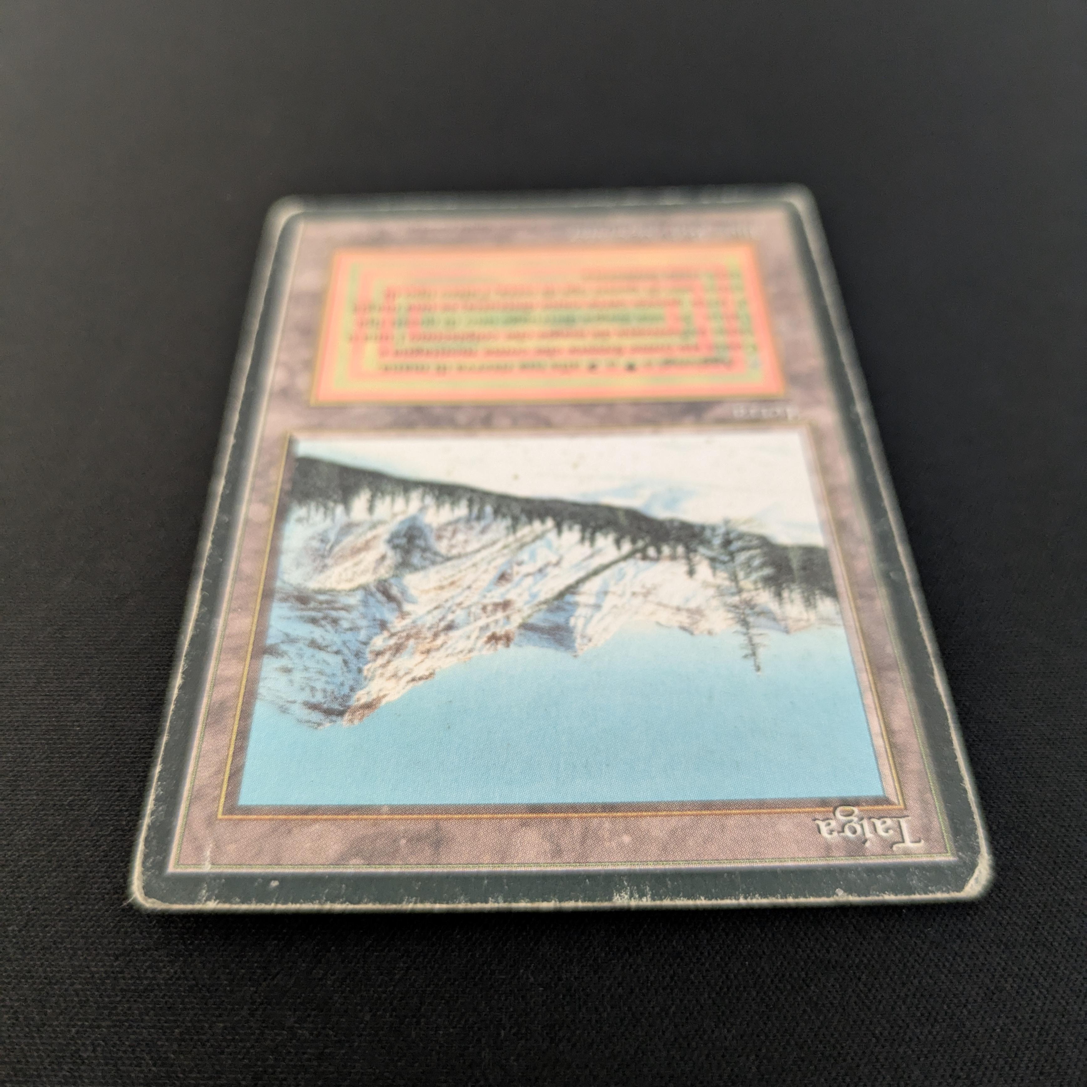 MTG Singles - Taiga - Foreign Black Bordered -