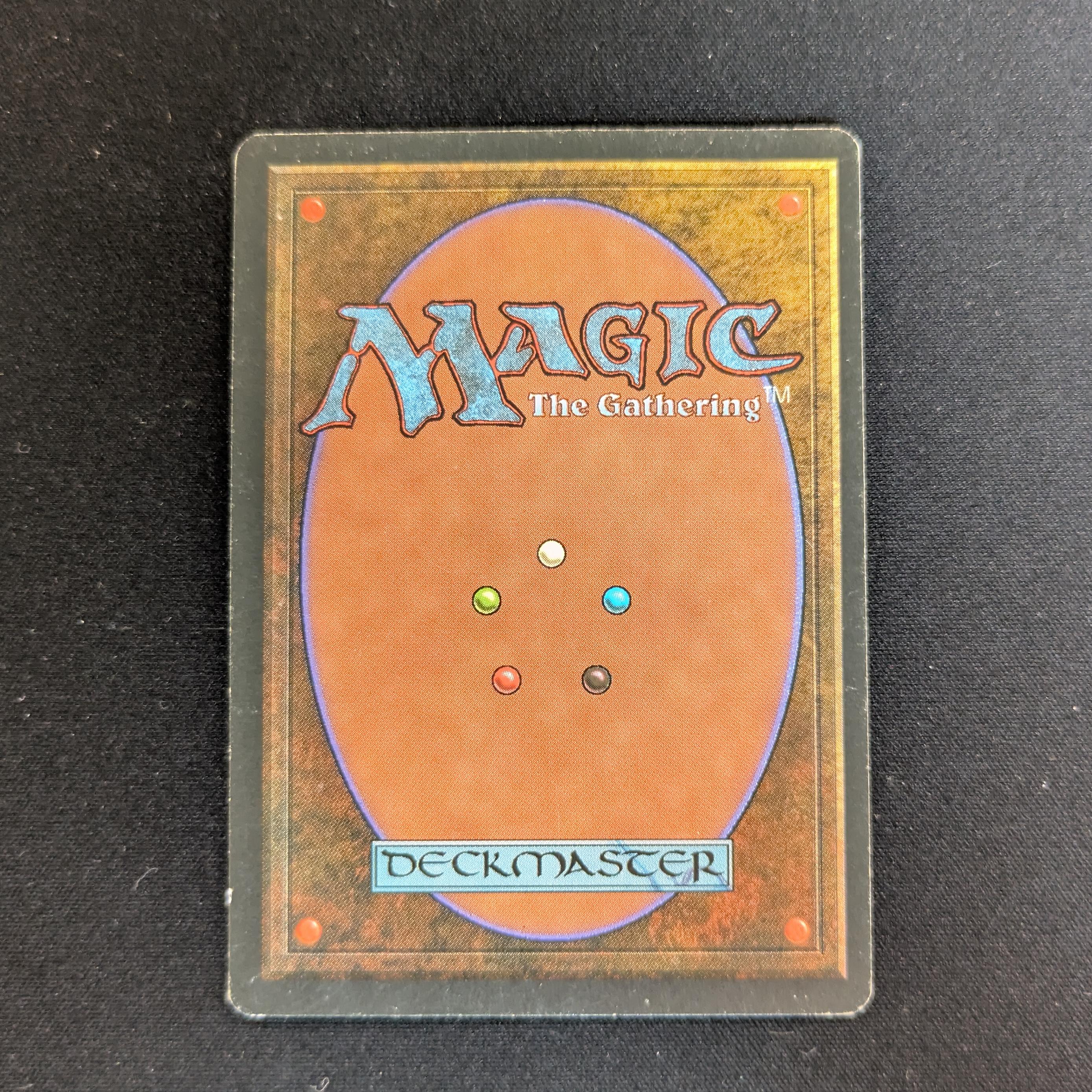 MTG Singles - Savannah - Foreign Black Bordered -