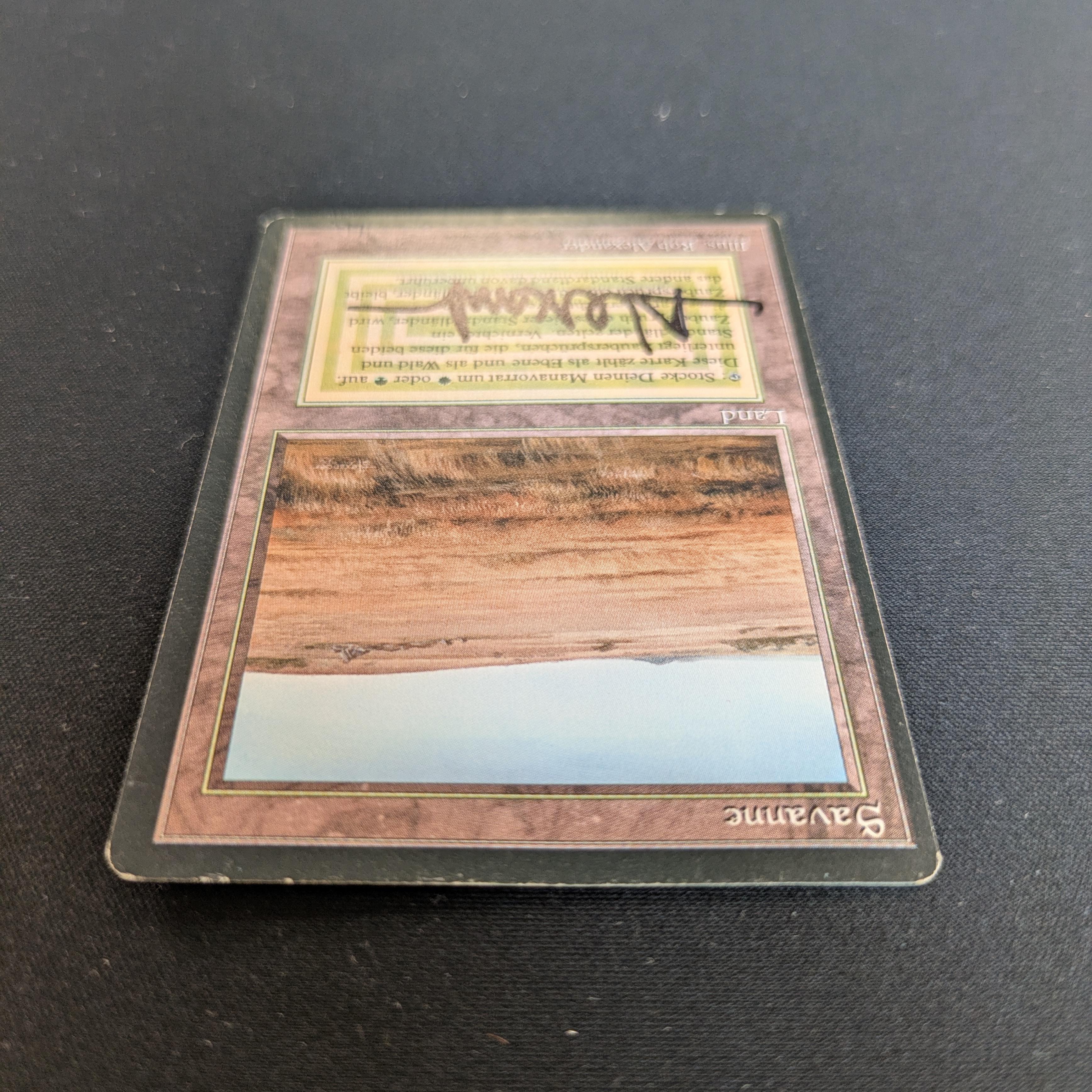 MTG Singles - Savannah - Foreign Black Bordered -