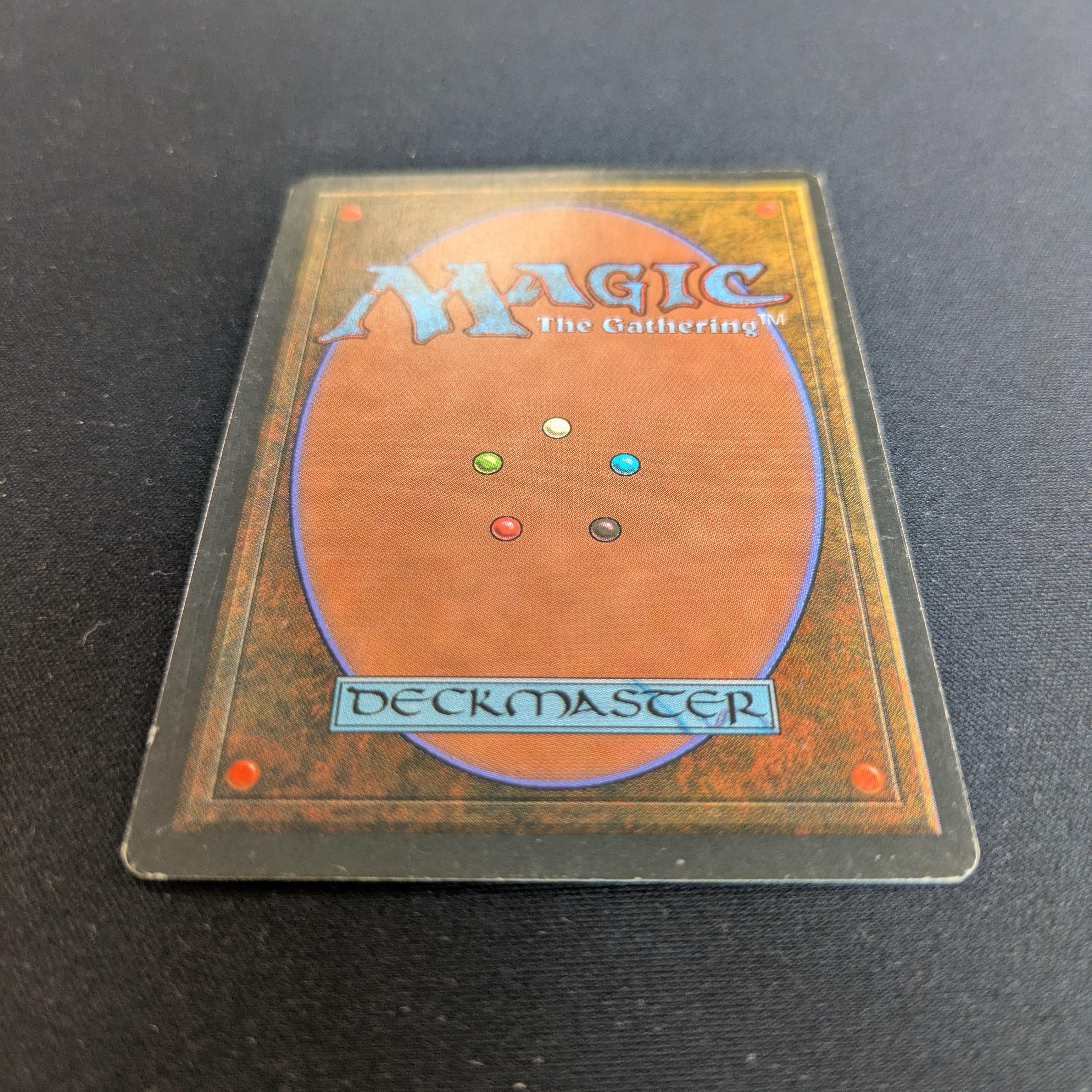 MTG Singles - Savannah - Foreign Black Bordered -