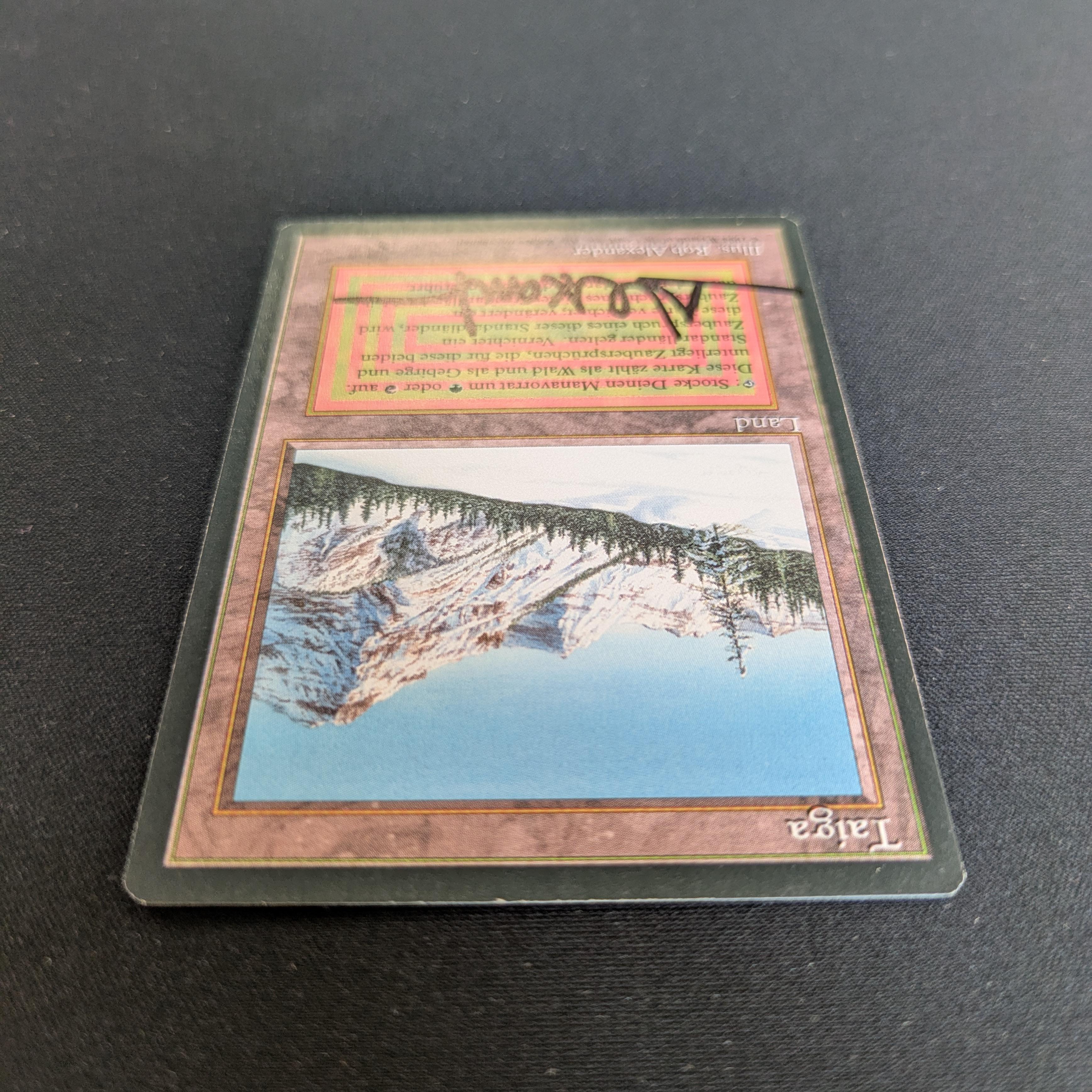 MTG Singles - Taiga - Foreign Black Bordered -