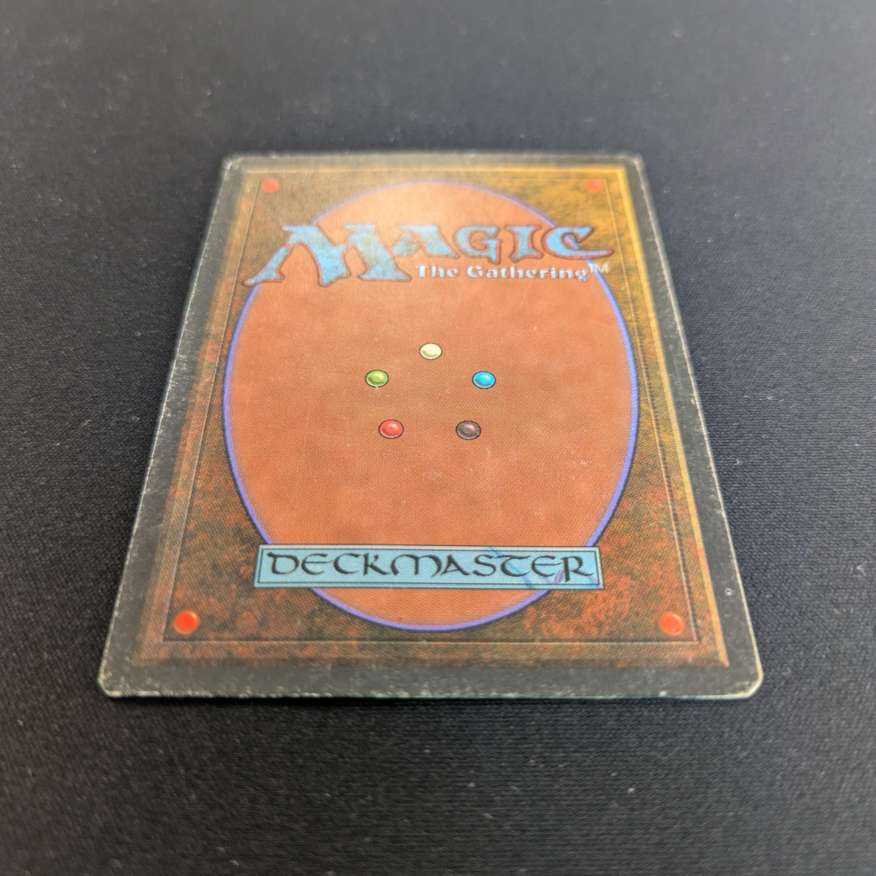 MTG Singles - Tundra - Foreign Black Bordered -