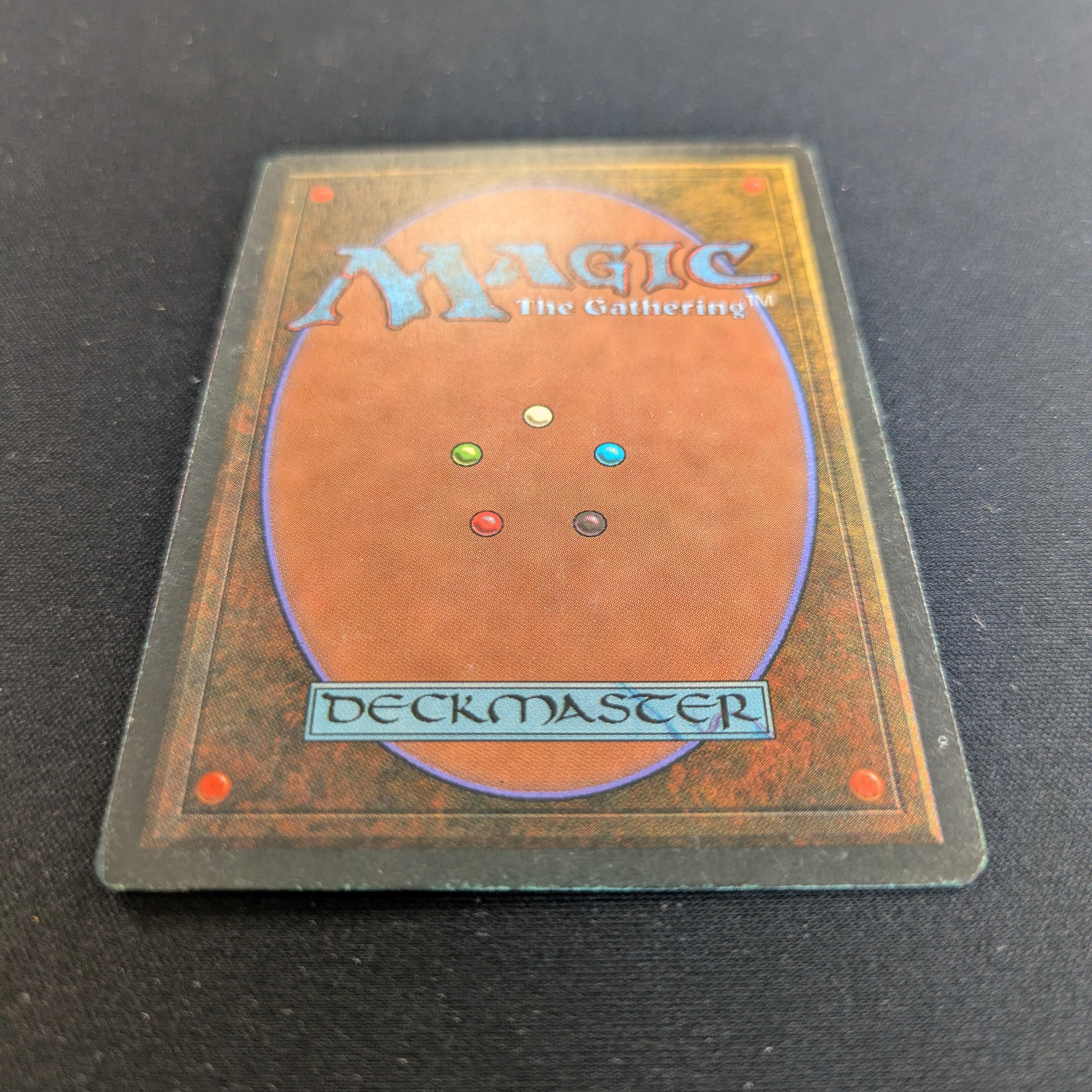 MTG Singles - Tundra - Foreign Black Bordered -