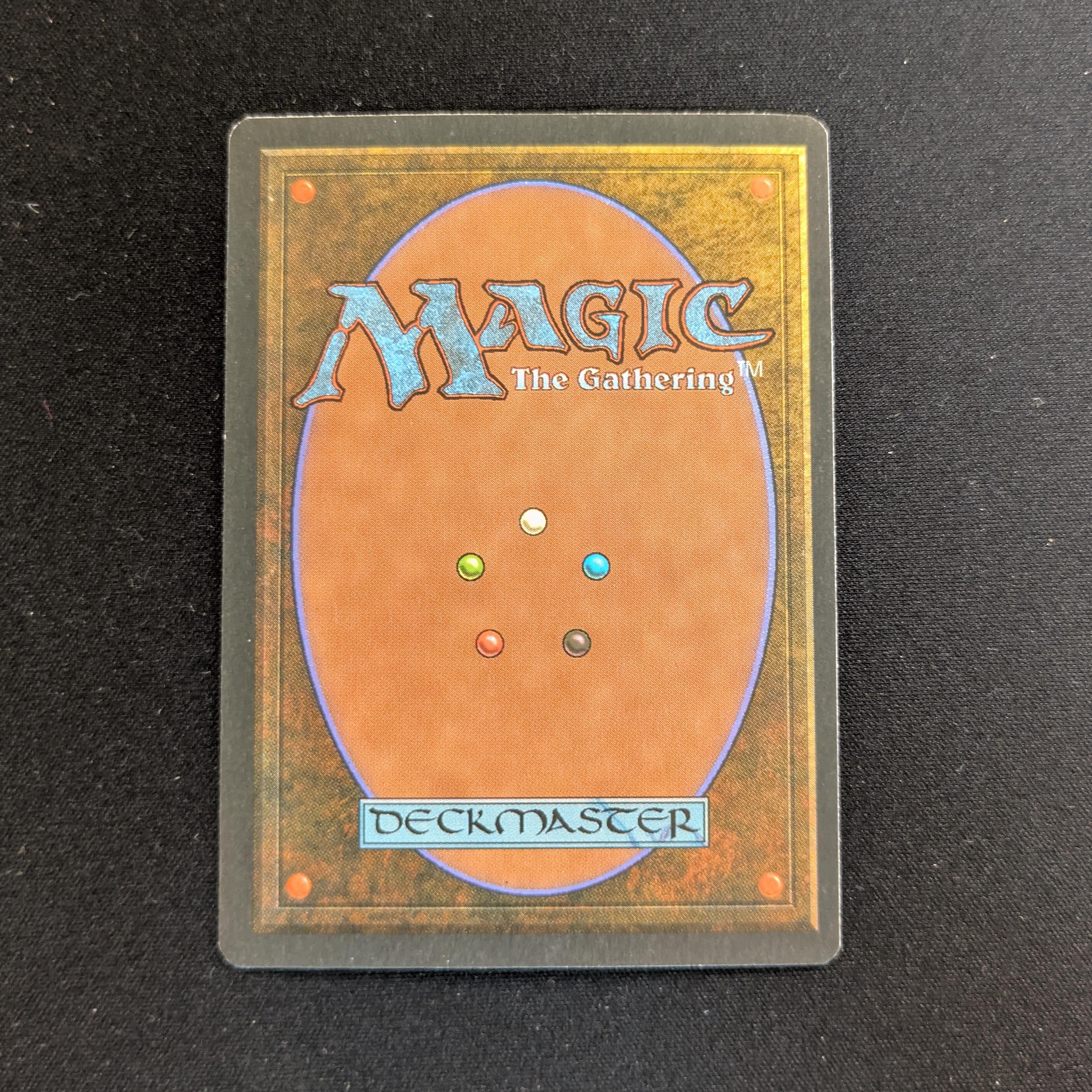 MTG Singles - Savannah - Foreign White Bordered -