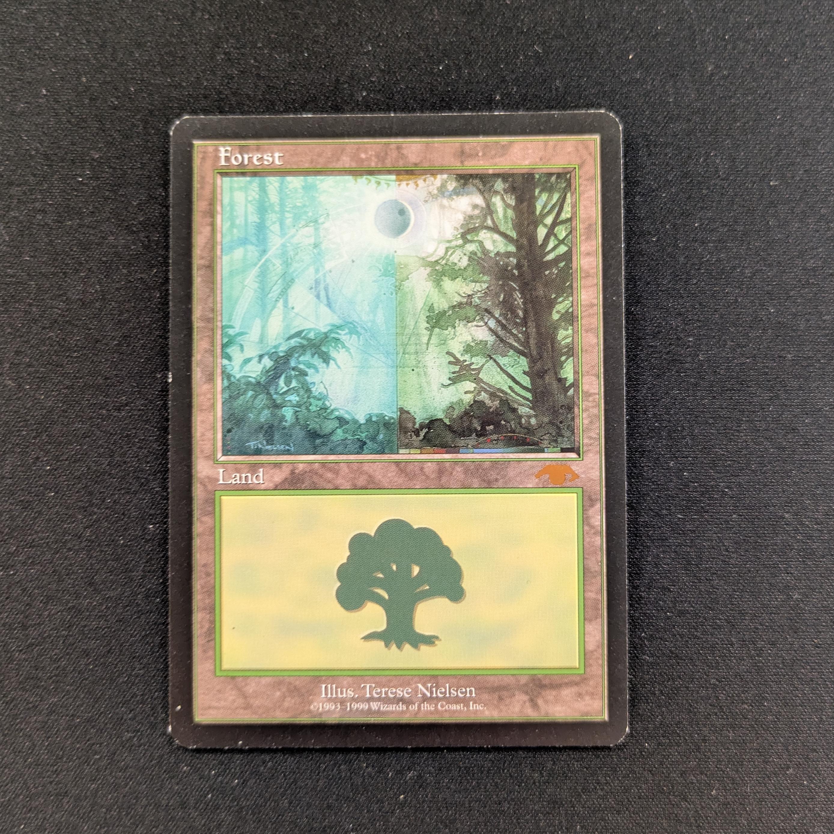 MTG Singles - Forest - Guru Lands - EX -
