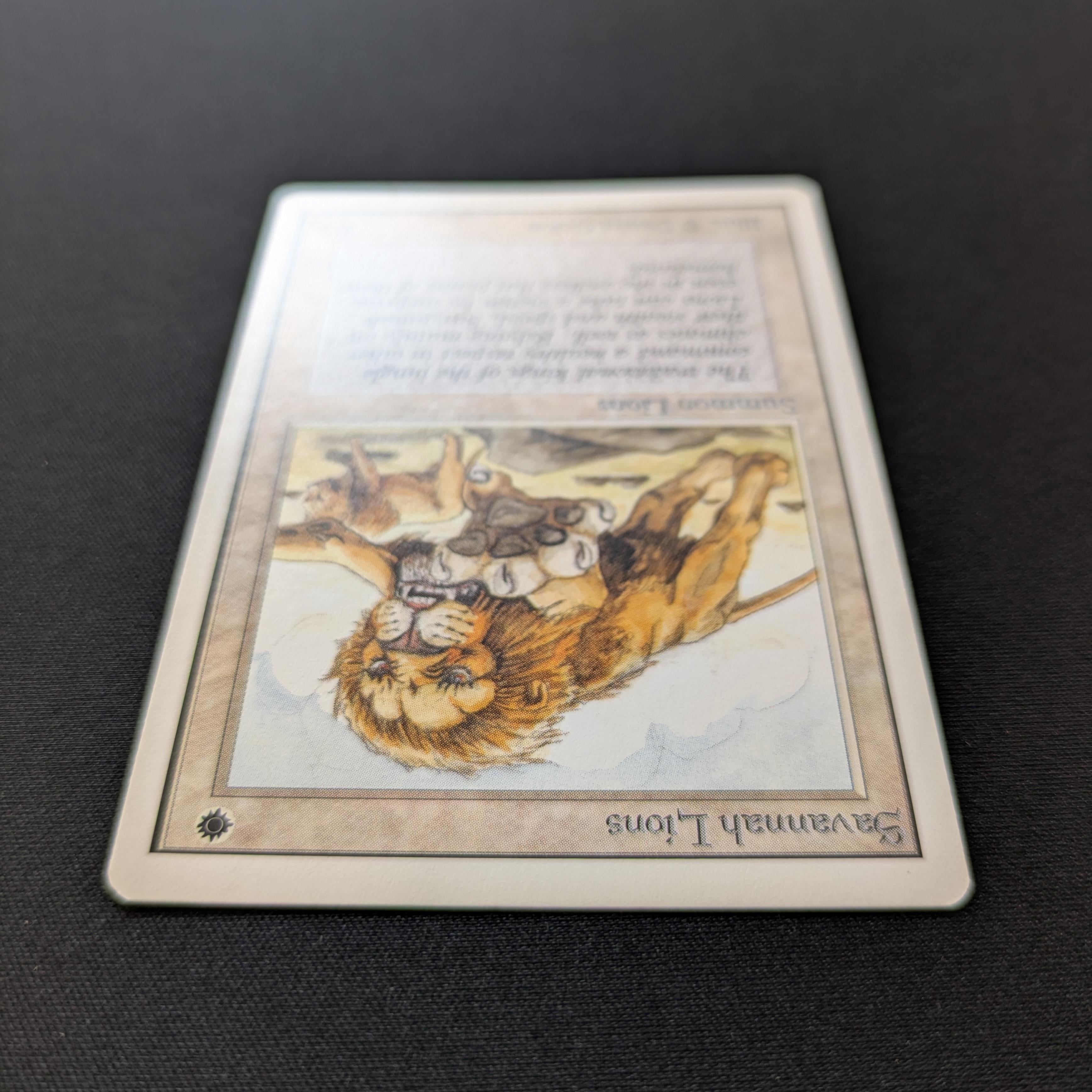 MTG Singles - Savannah Lions - Unlimited -