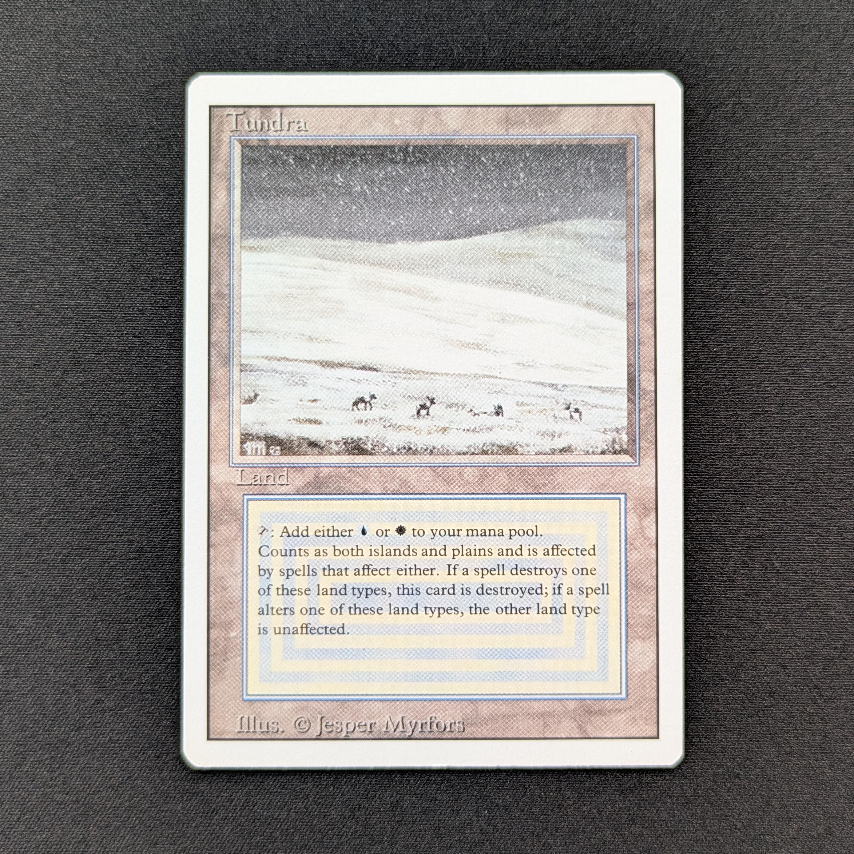 MTG Singles - Tundra - Revised - EX - 28569