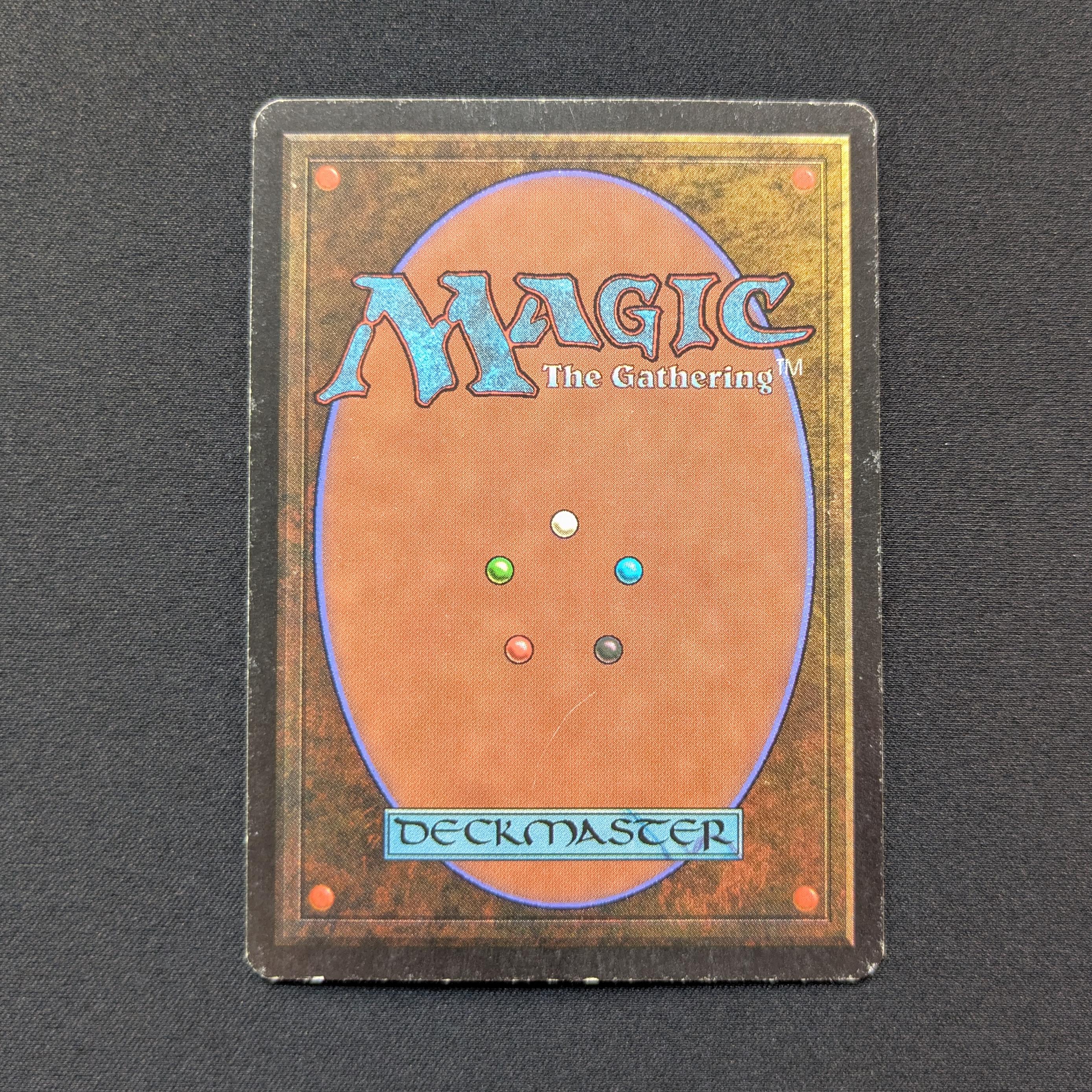 MTG Singles - Bayou - Revised -