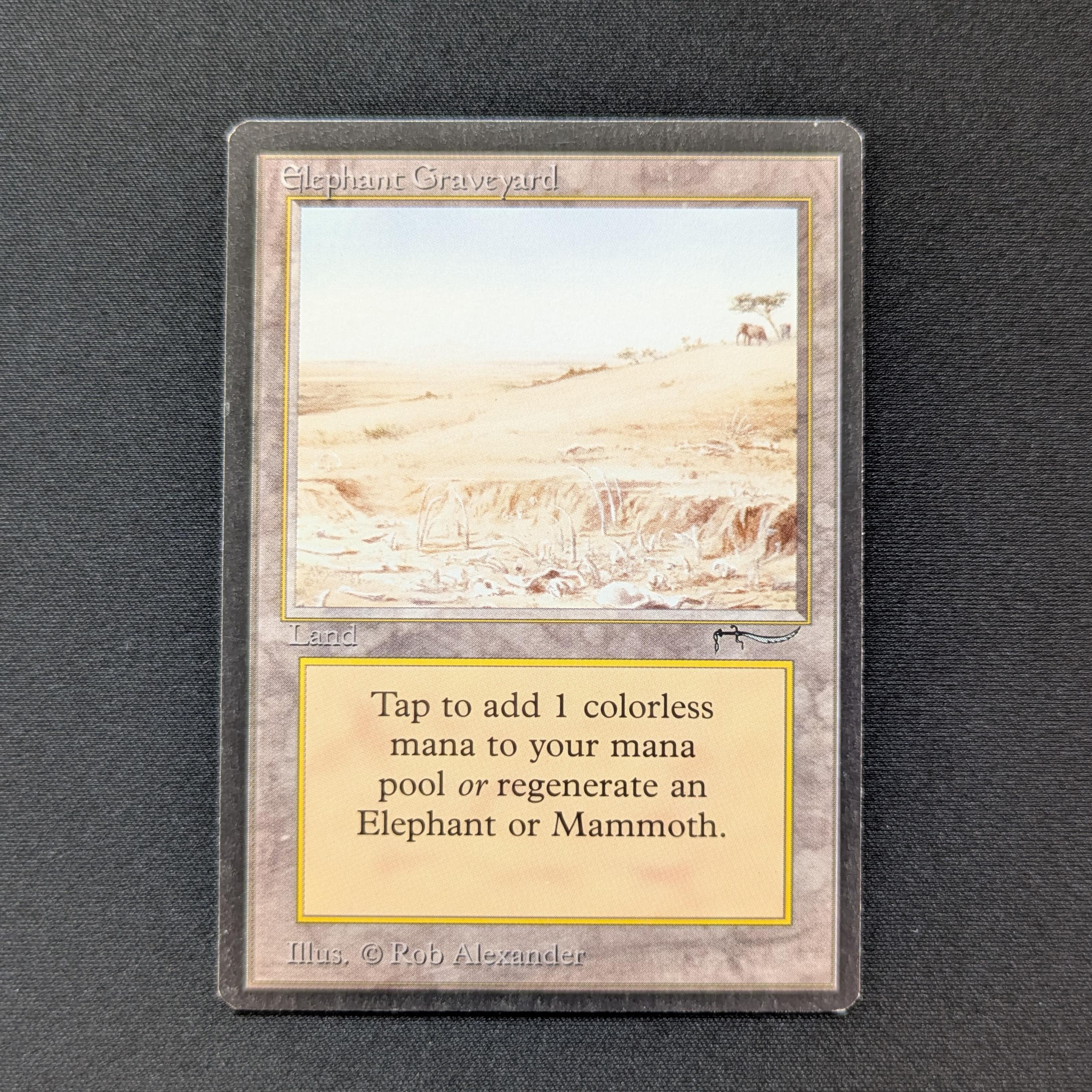 MTG Singles - Elephant Graveyard - Arabian Nights - NM - 28600