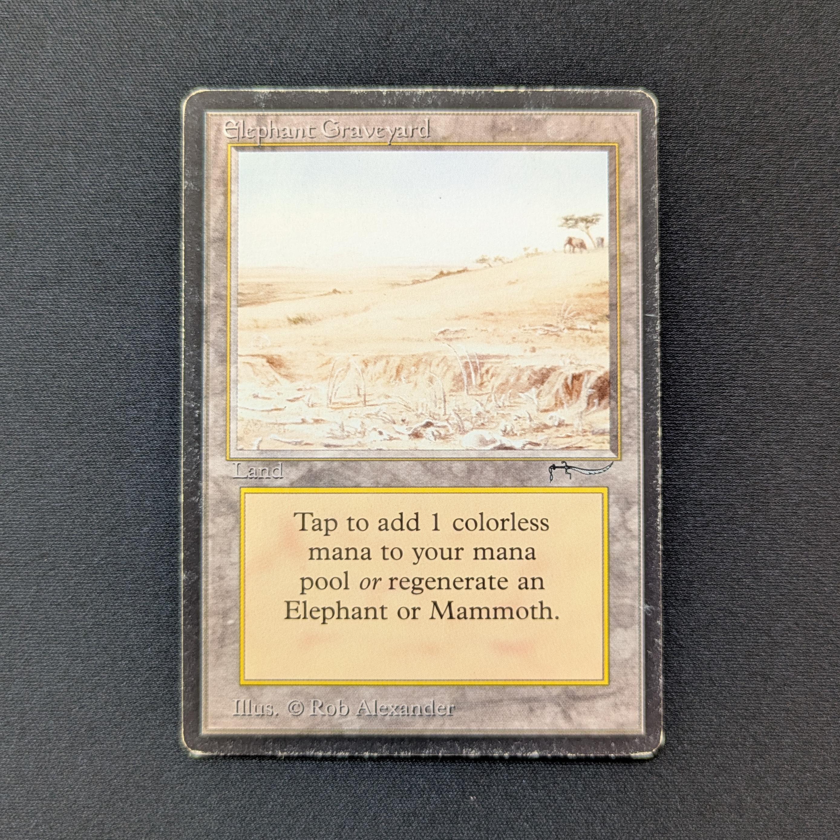 MTG Singles - Elephant Graveyard - Arabian Nights - PL - 28640
