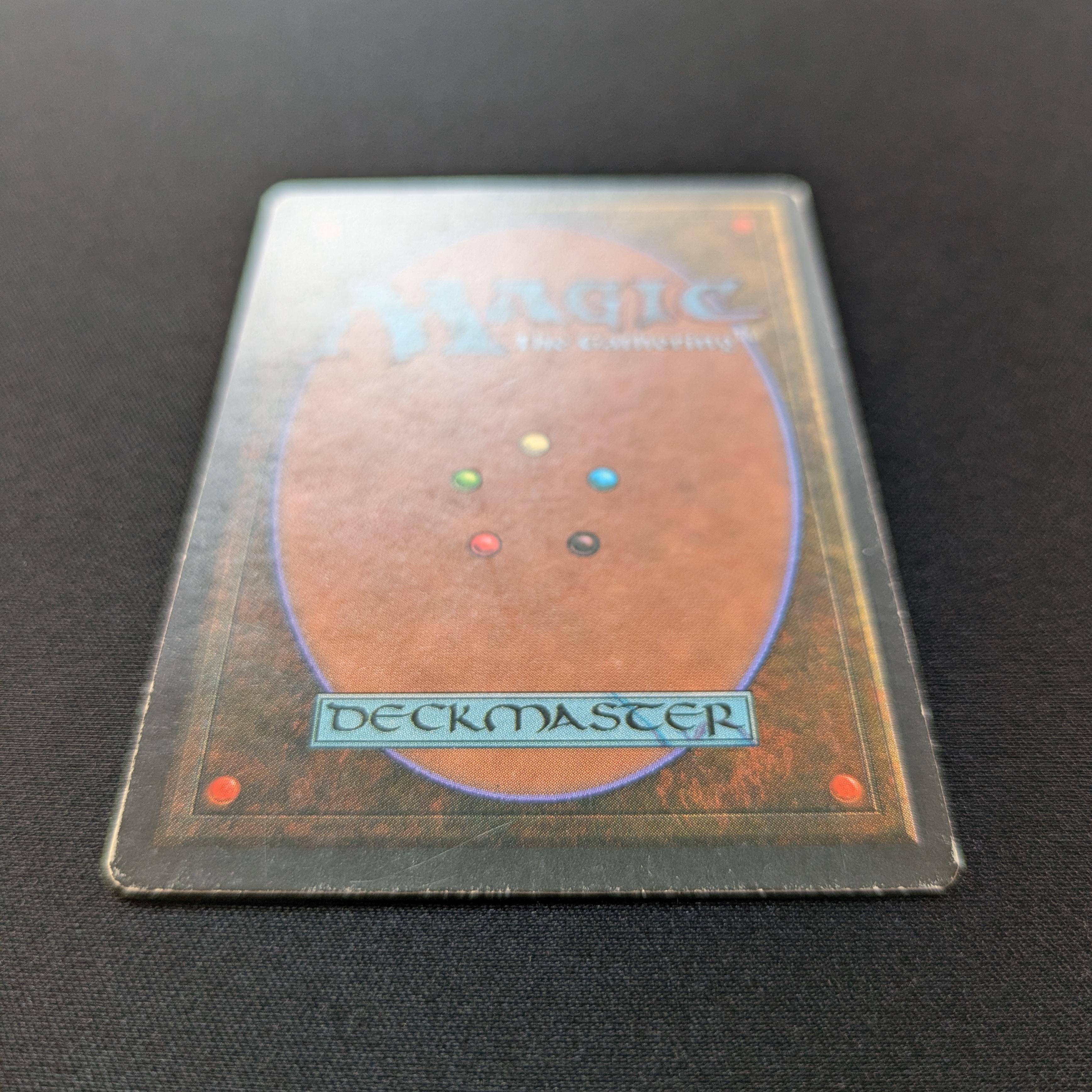 MTG Singles - Savannah - Foreign Black Bordered -