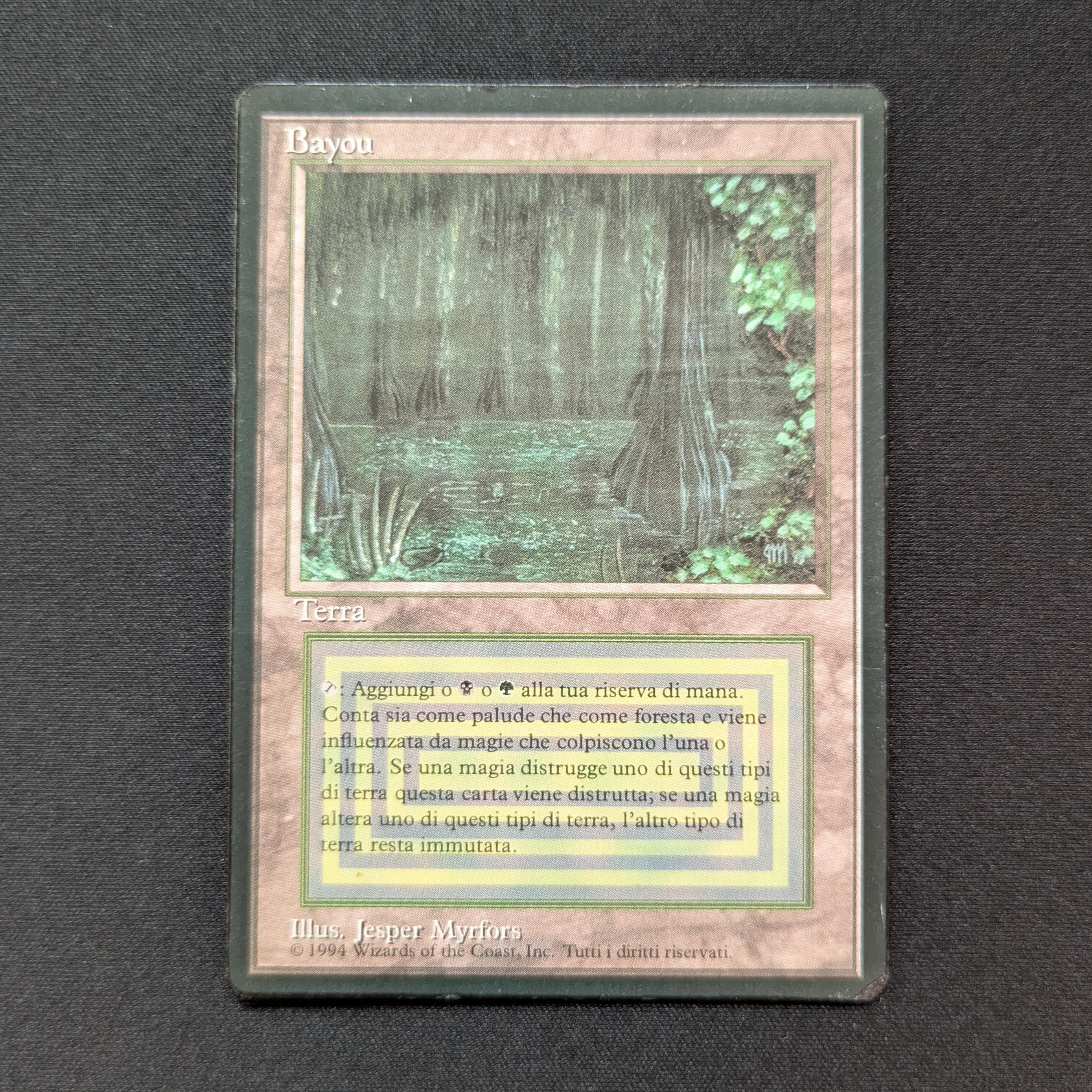 MTG Singles - Bayou - Foreign Black Bordered -