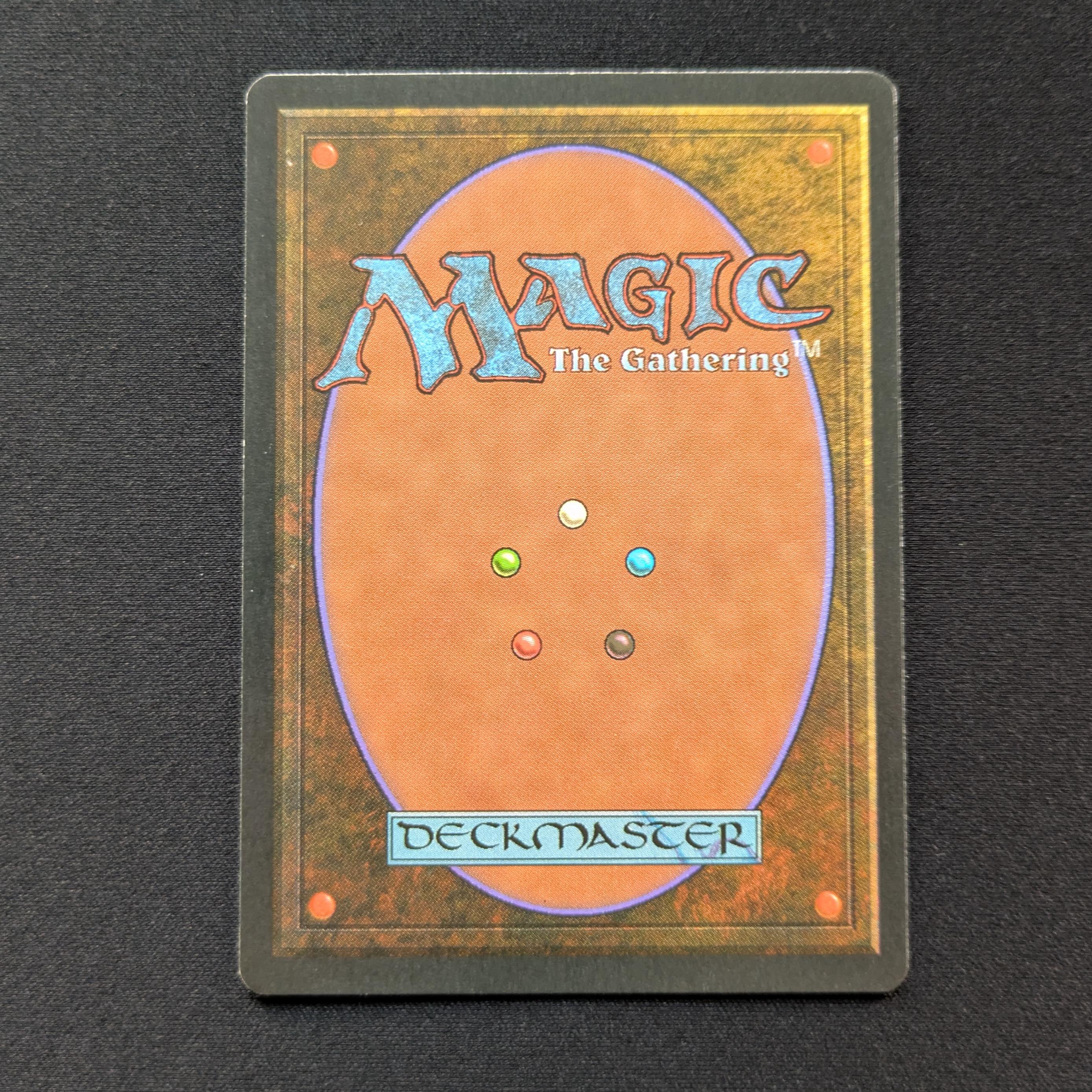 MTG Singles - Bayou - Foreign Black Bordered -