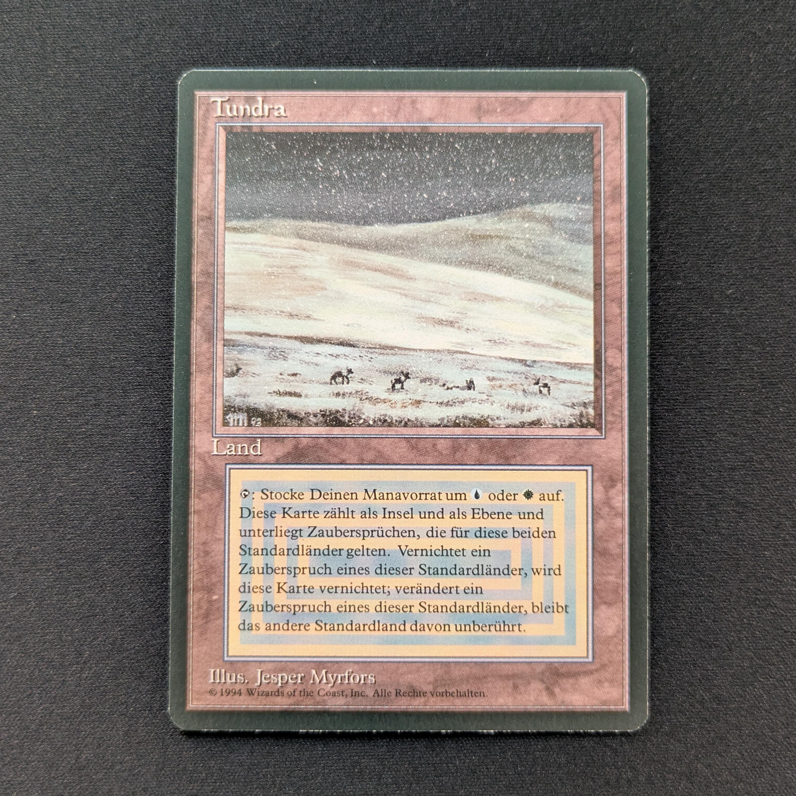 MTG Singles - Tundra - Foreign Black Bordered - German - NM - 28815