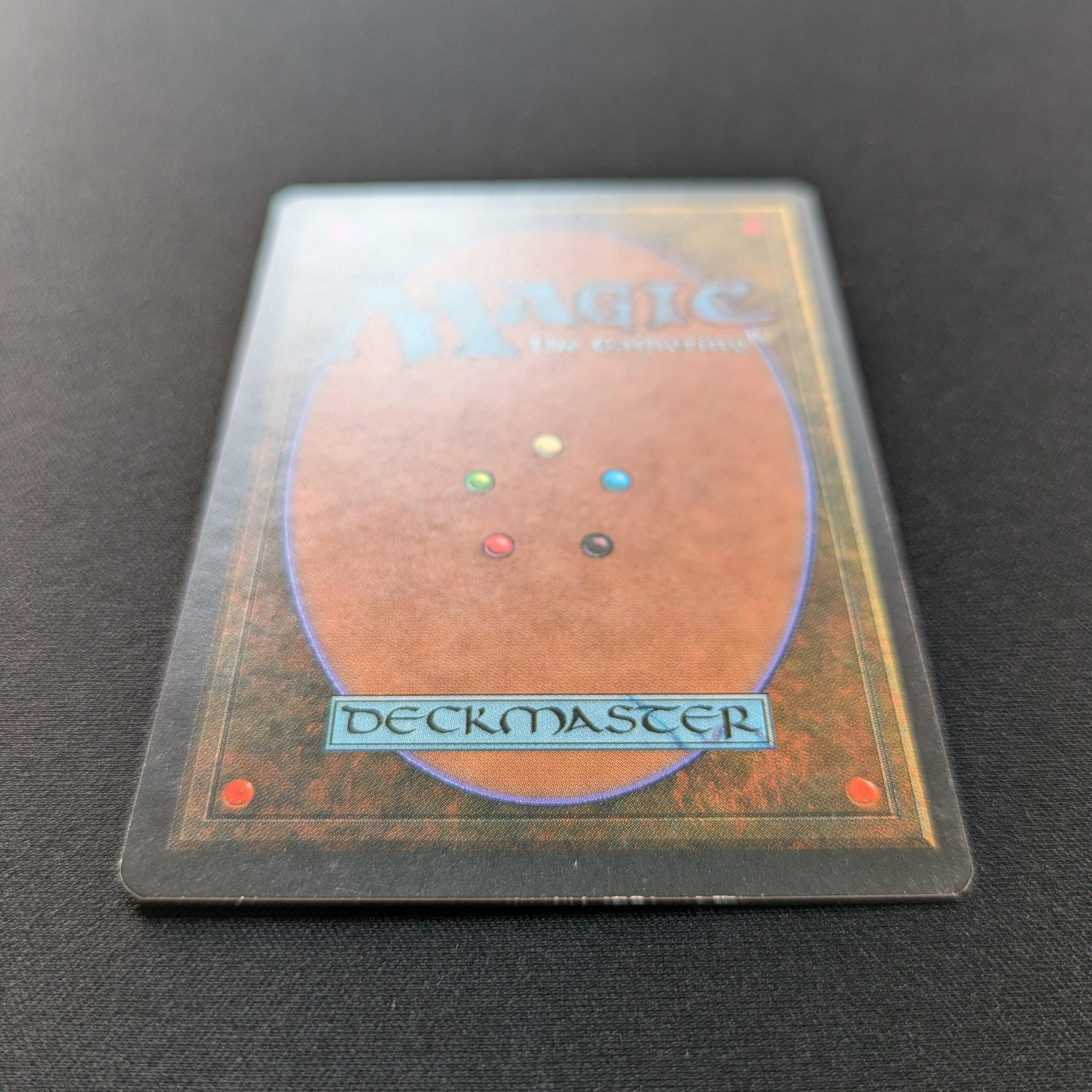 MTG Singles - Savannah - Foreign Black Bordered -