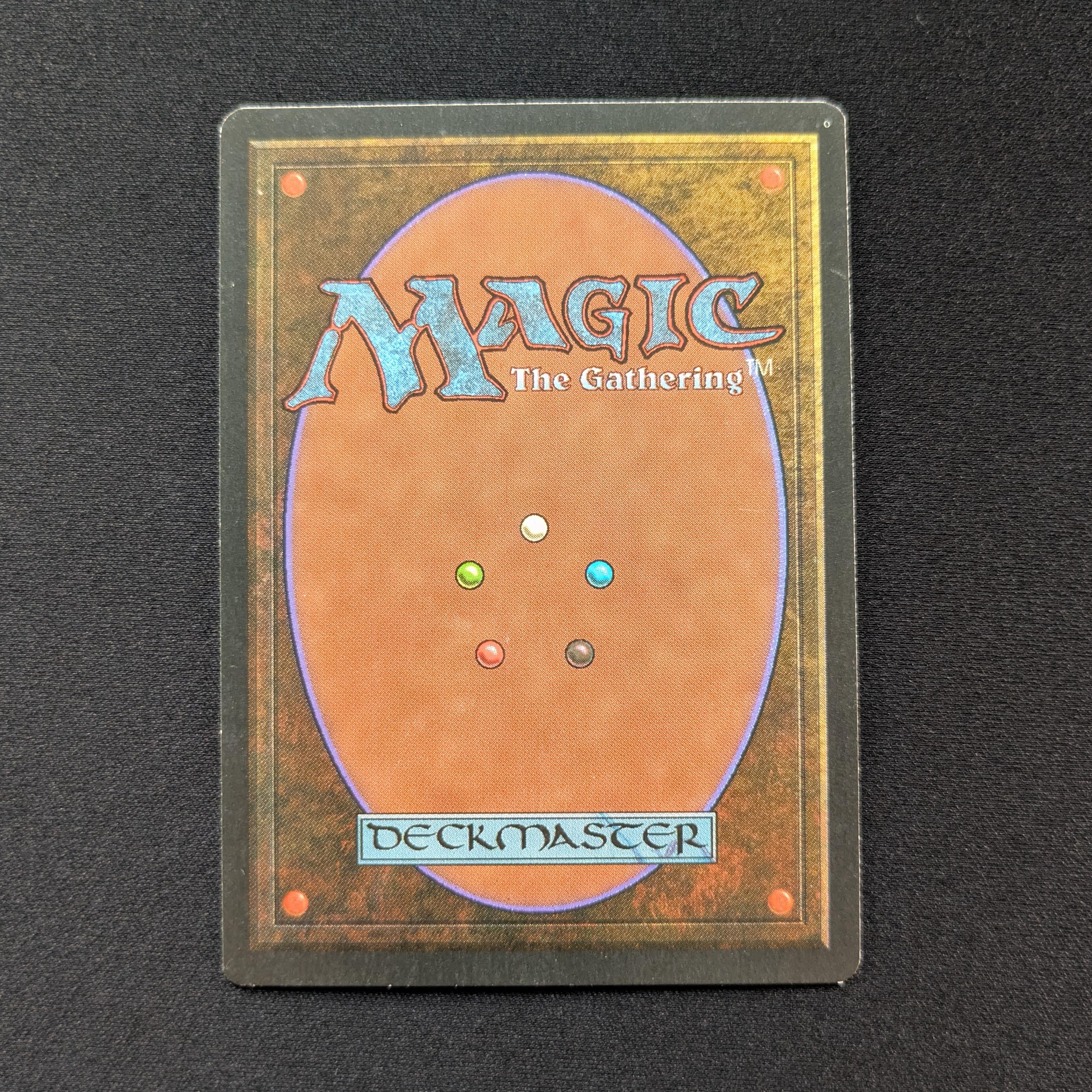 MTG Singles - Savannah - Foreign Black Bordered -