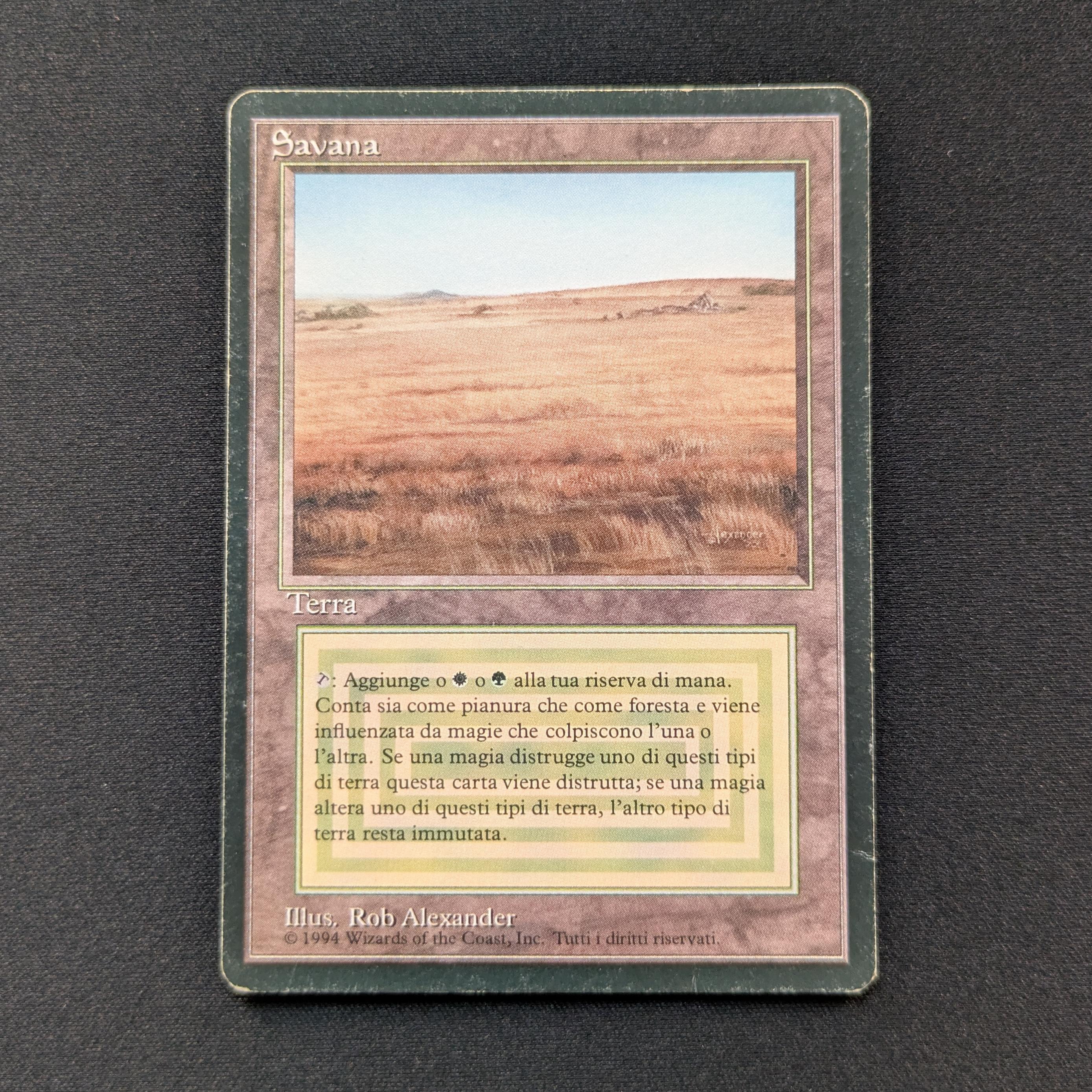 MTG Singles - Savannah - Foreign Black Bordered -