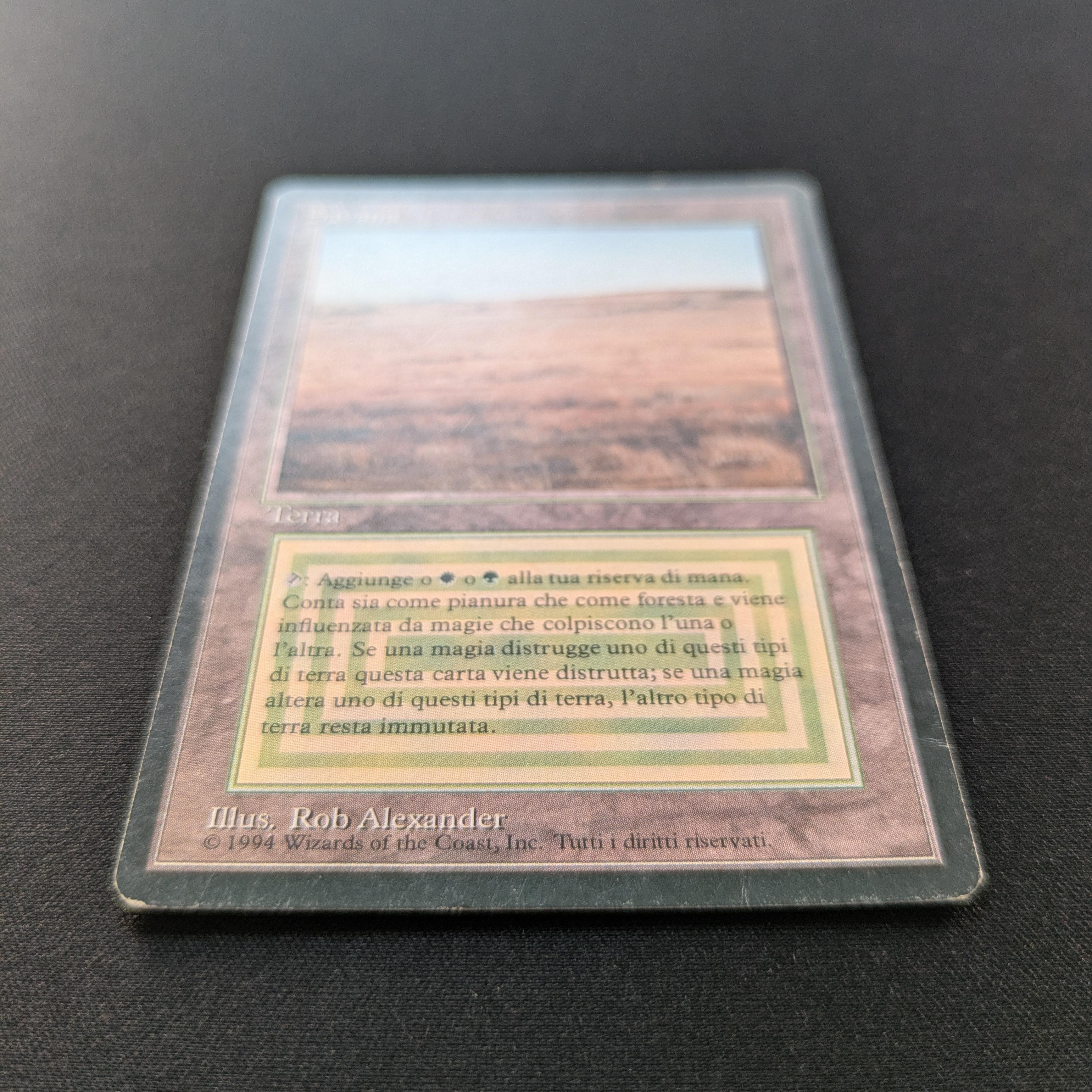 MTG Singles - Savannah - Foreign Black Bordered -