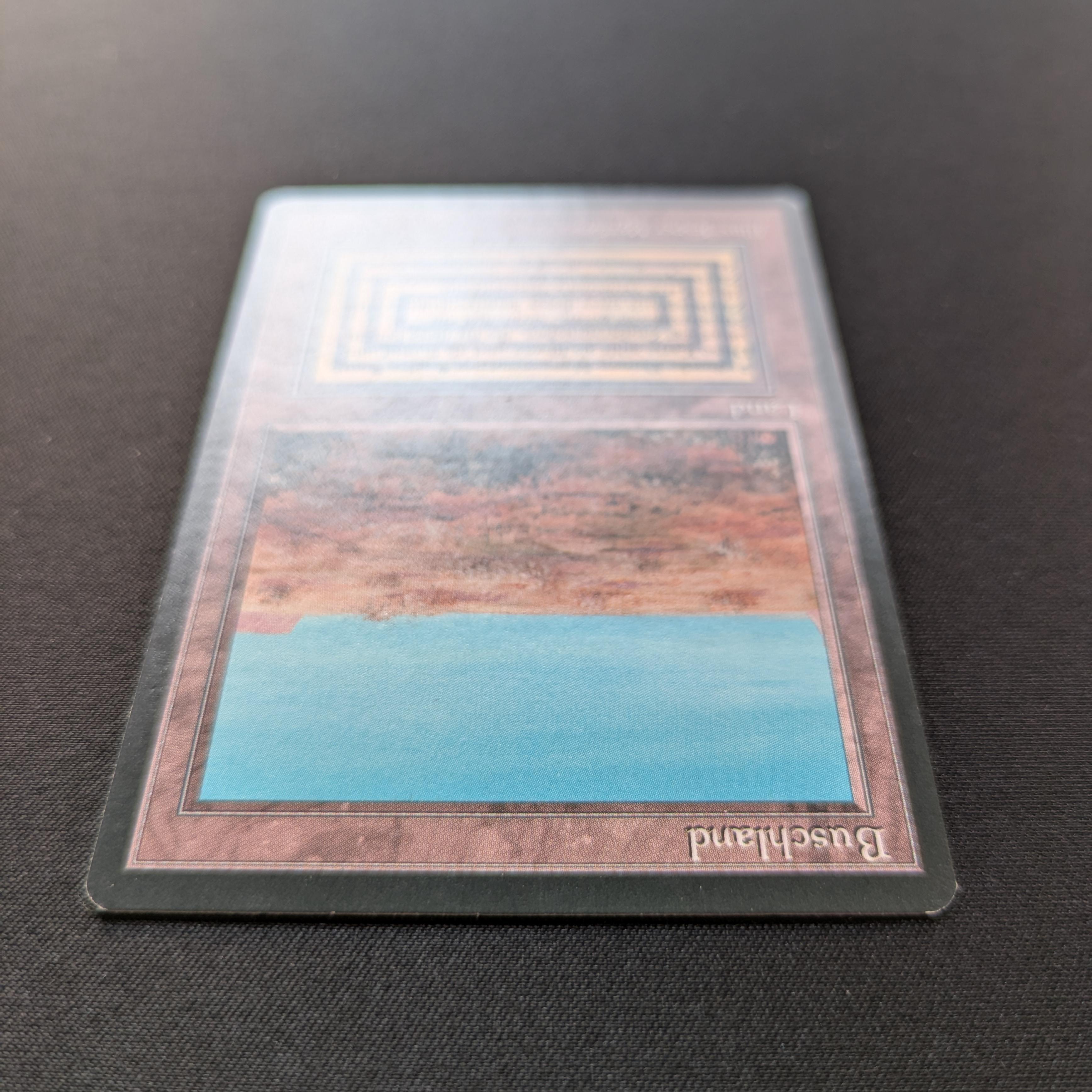 MTG Singles - Scrubland - Foreign Black Bordered -