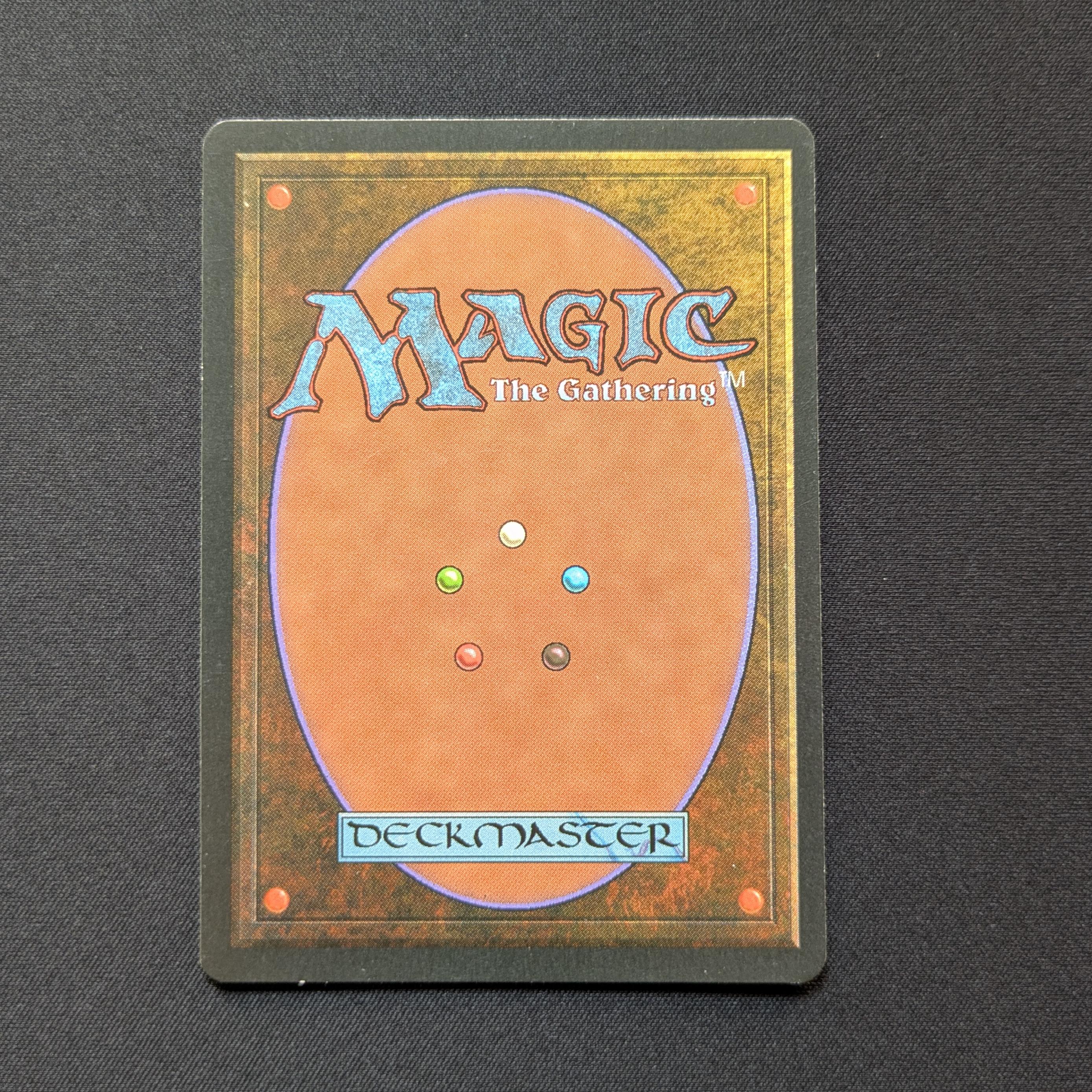 MTG Singles - Taiga - Foreign Black Bordered -