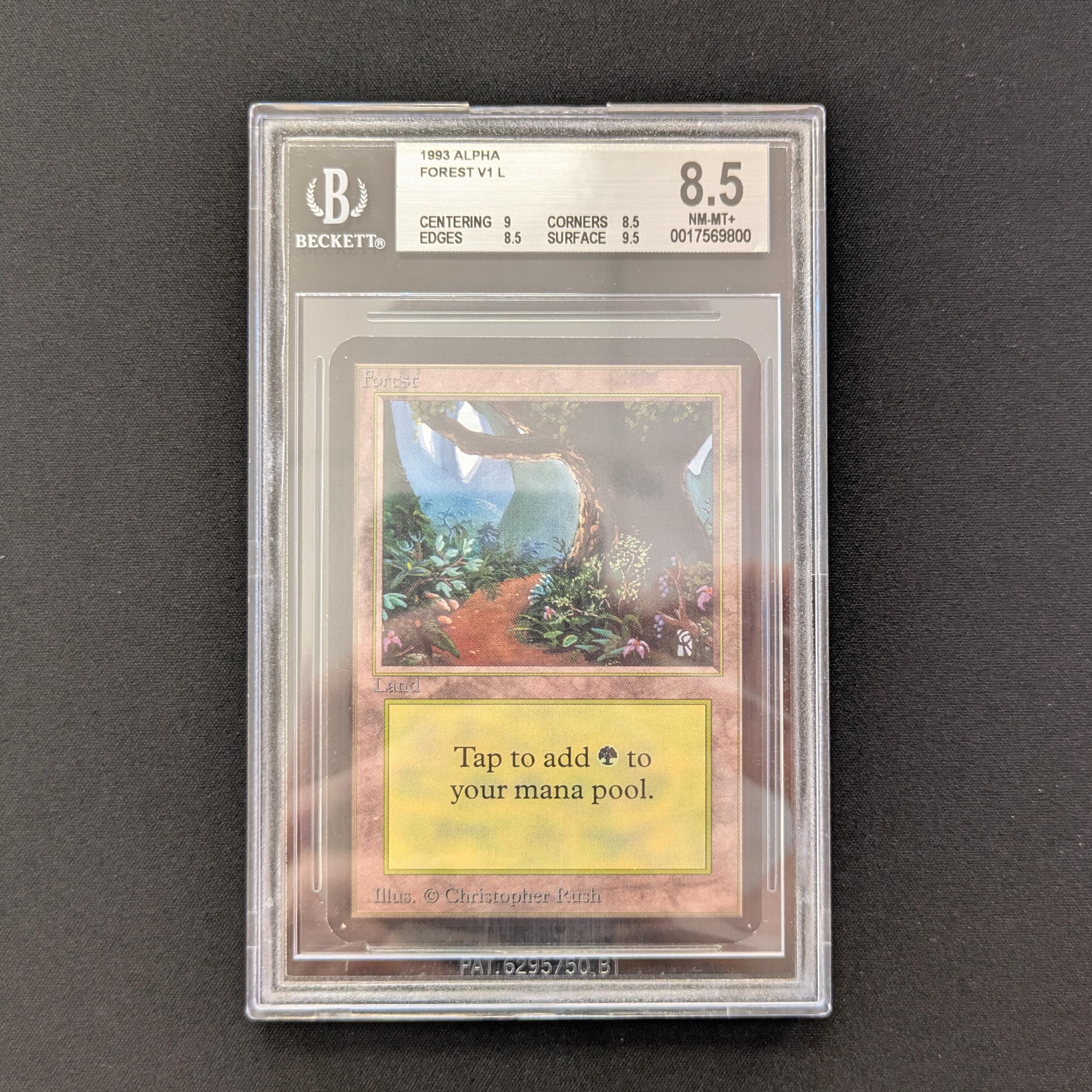 MTG Singles - Forest (V.1) - Alpha - BGS 8.5 -