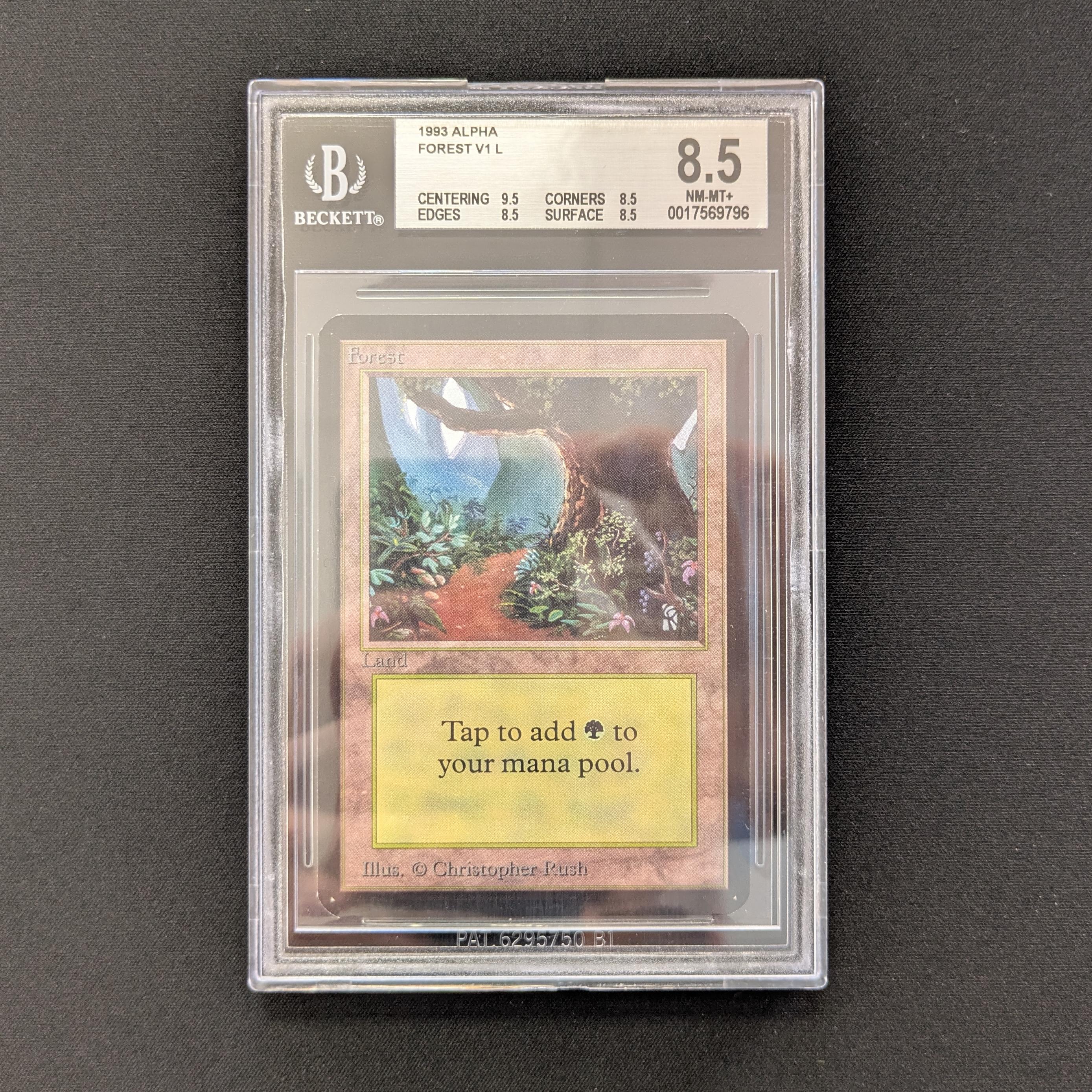 MTG Singles - Forest (V.1) - Alpha - BGS 8.5 -