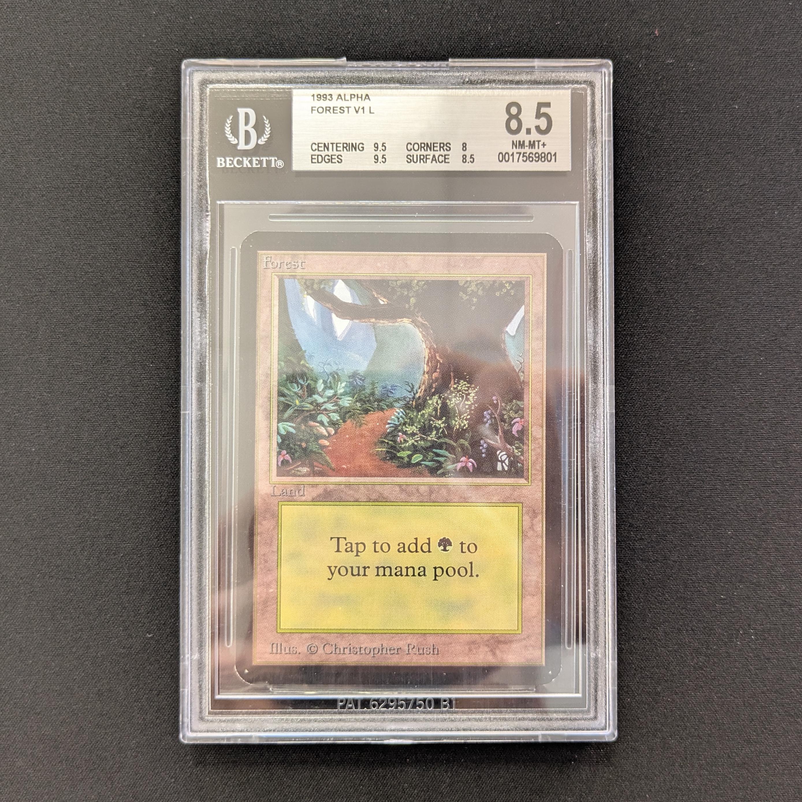 MTG Singles - Forest (V.1) - Alpha - BGS 8.5 -