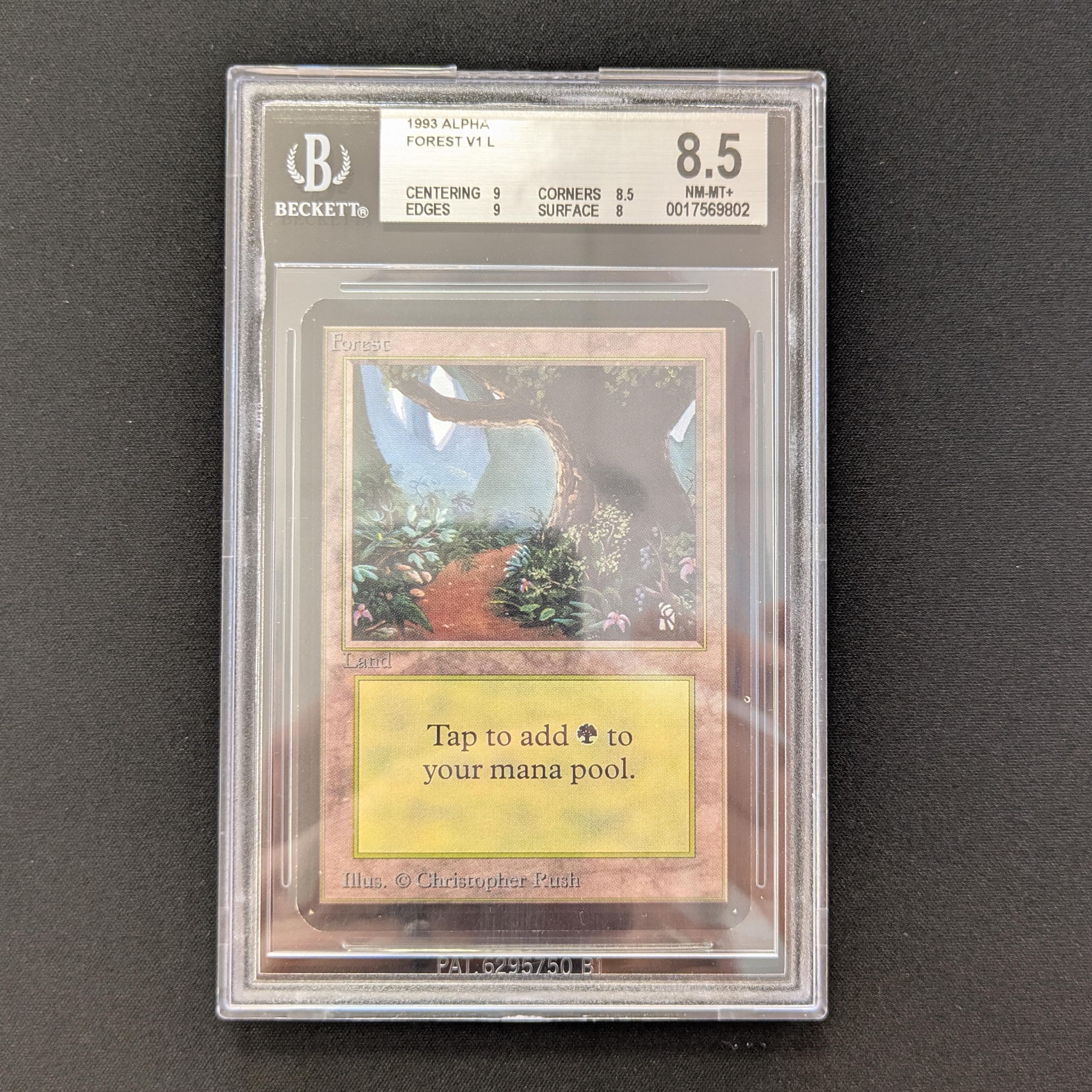 MTG Singles - Forest (V.1) - Alpha - BGS 8.5 -