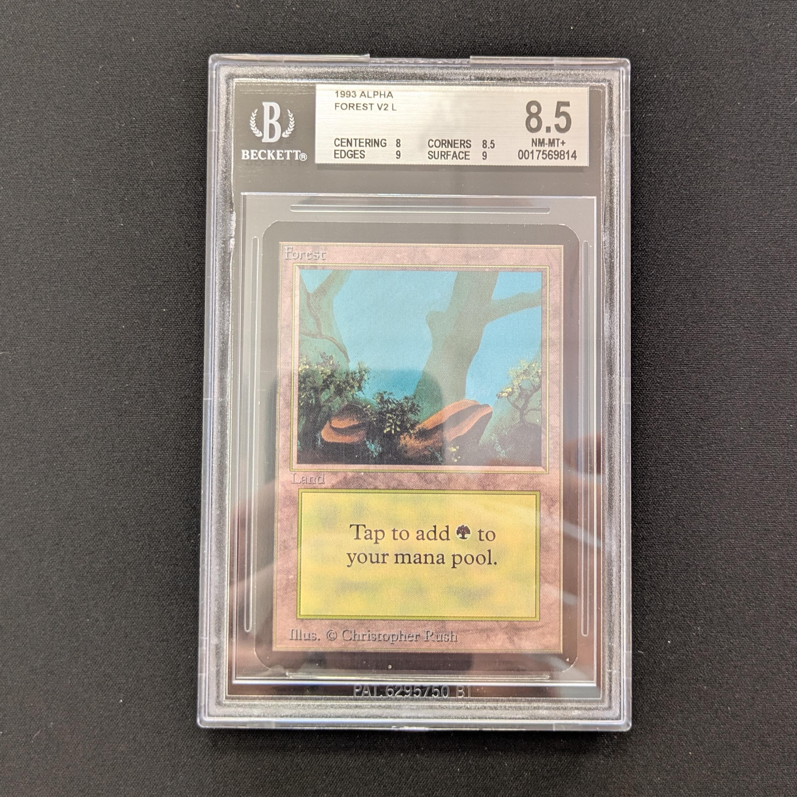 MTG Singles - Forest (V.2) - Alpha - BGS 8.5 -