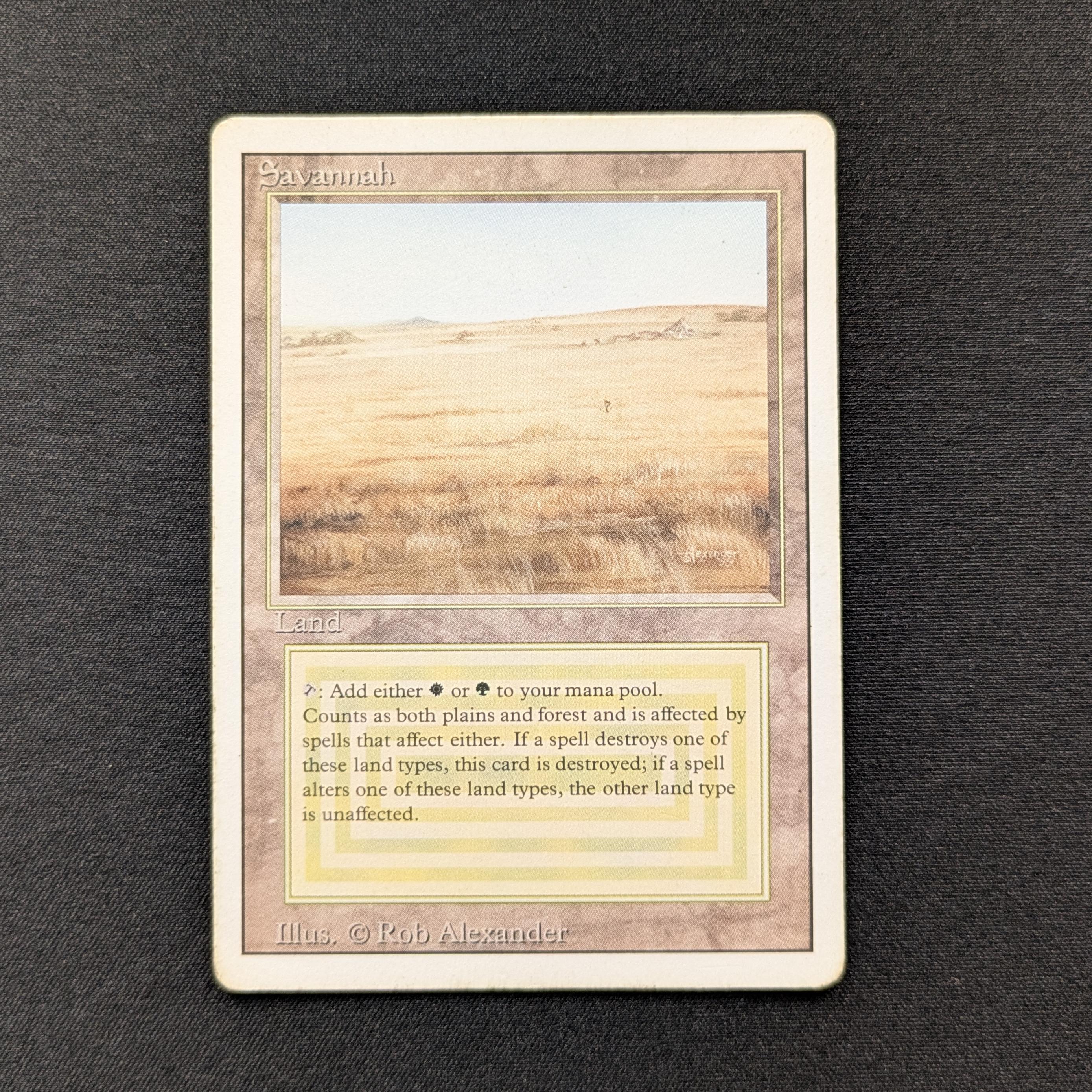 MTG Singles - Savannah - Revised - PL - 29015