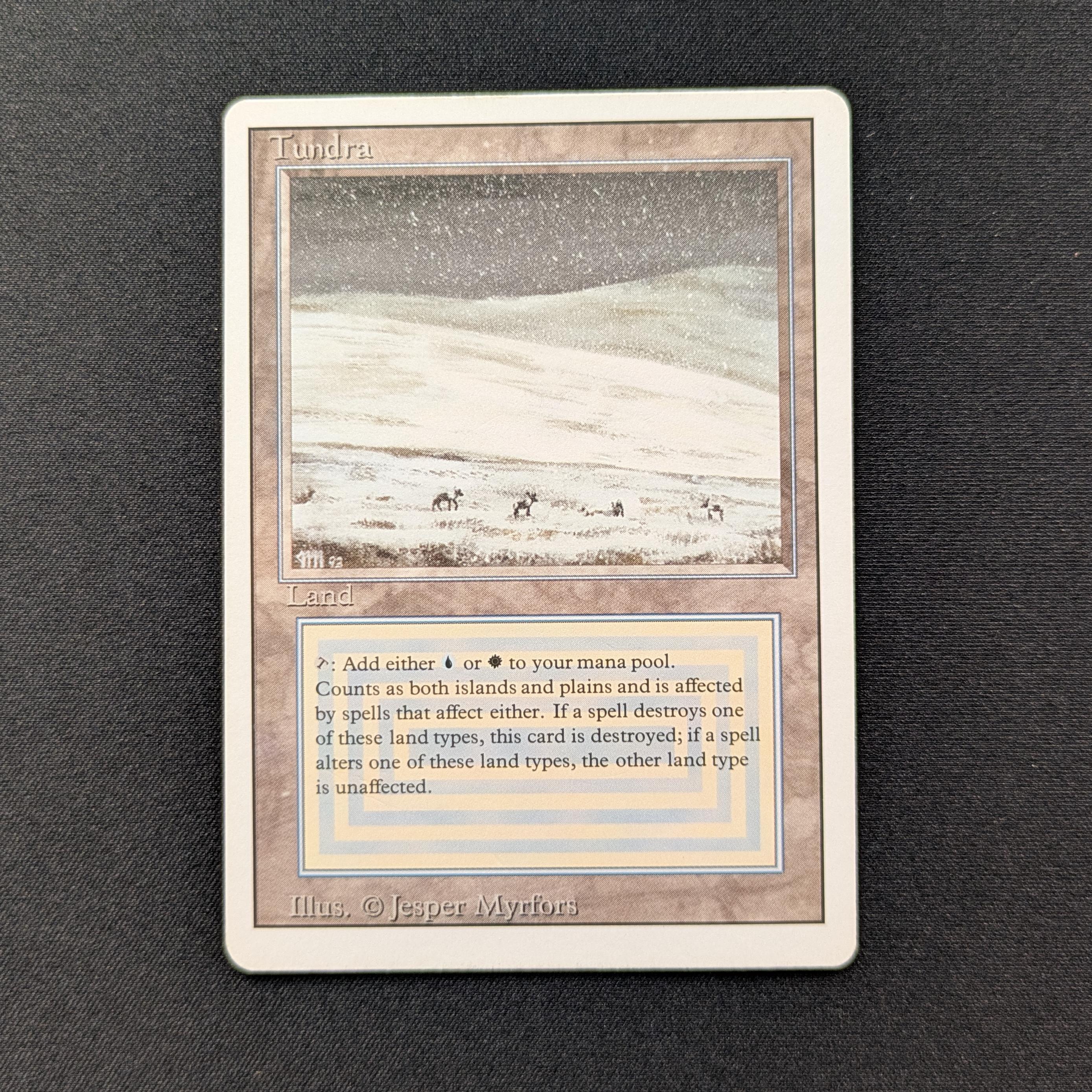 MTG Singles - Tundra - Revised - LP - 29022