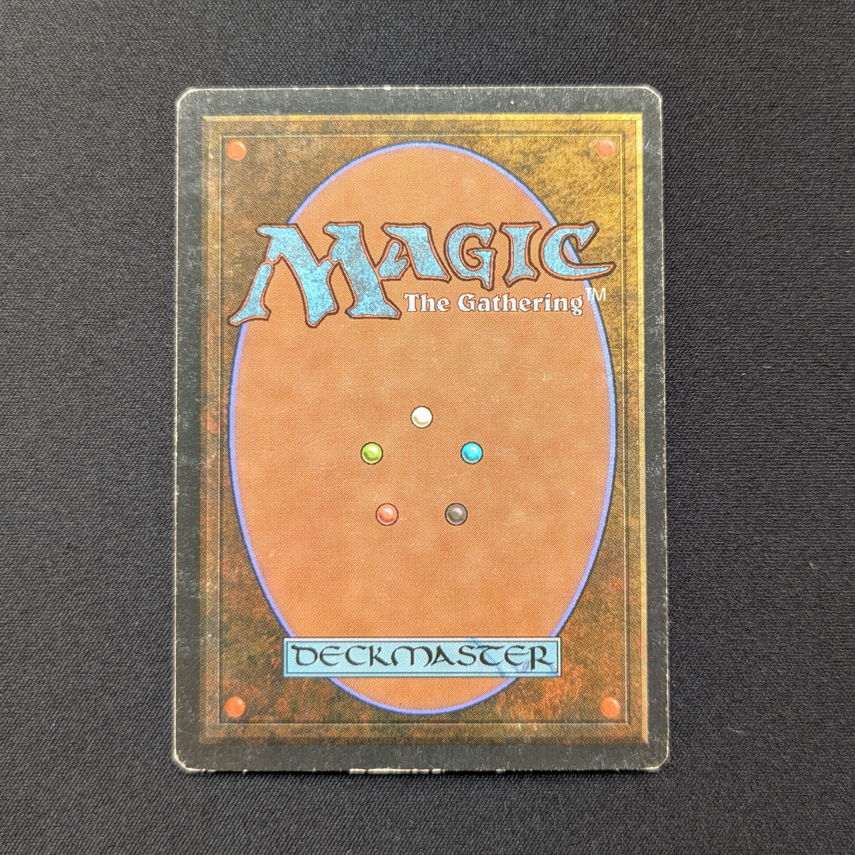 MTG Singles - Savannah - Foreign White Bordered -
