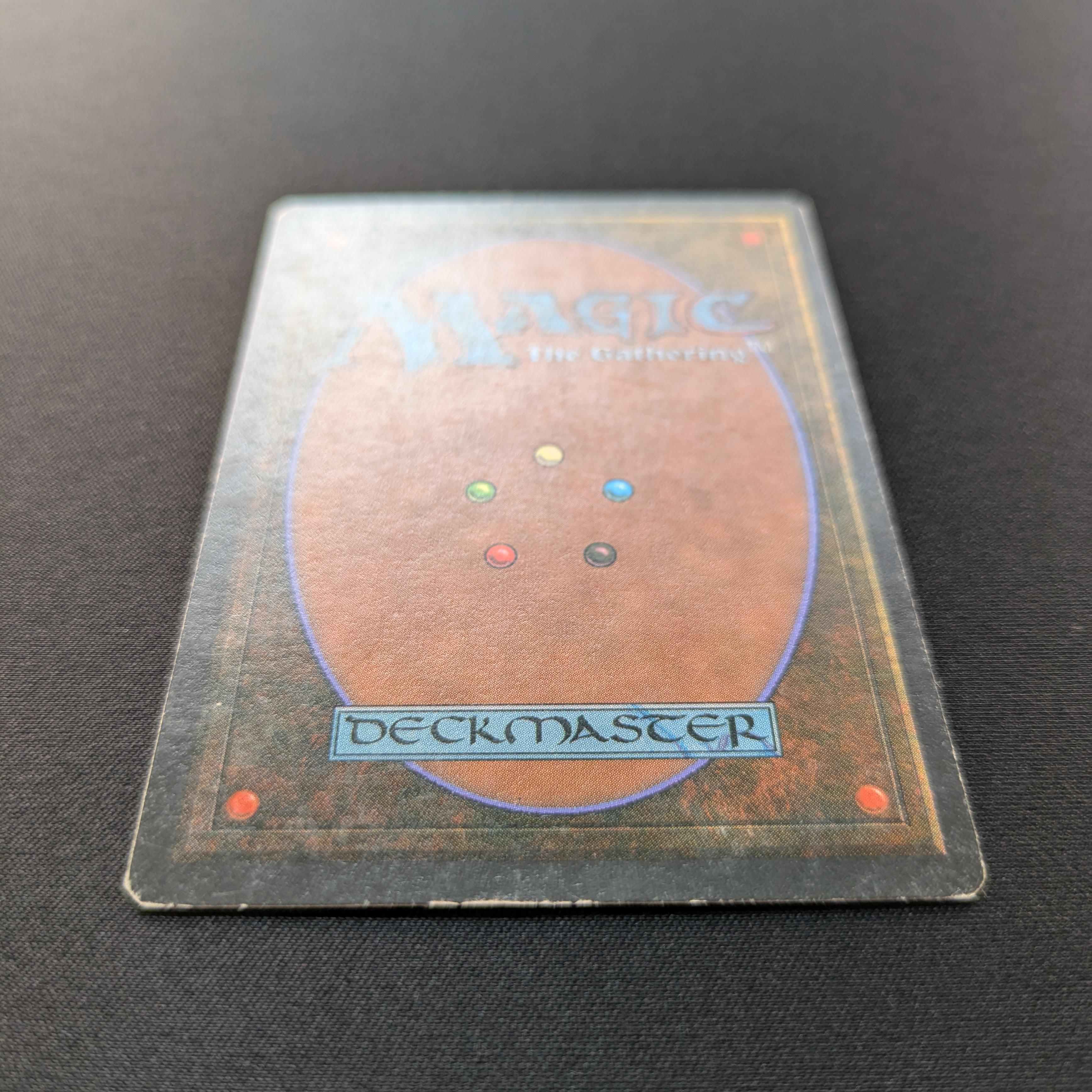MTG Singles - Savannah - Foreign White Bordered -