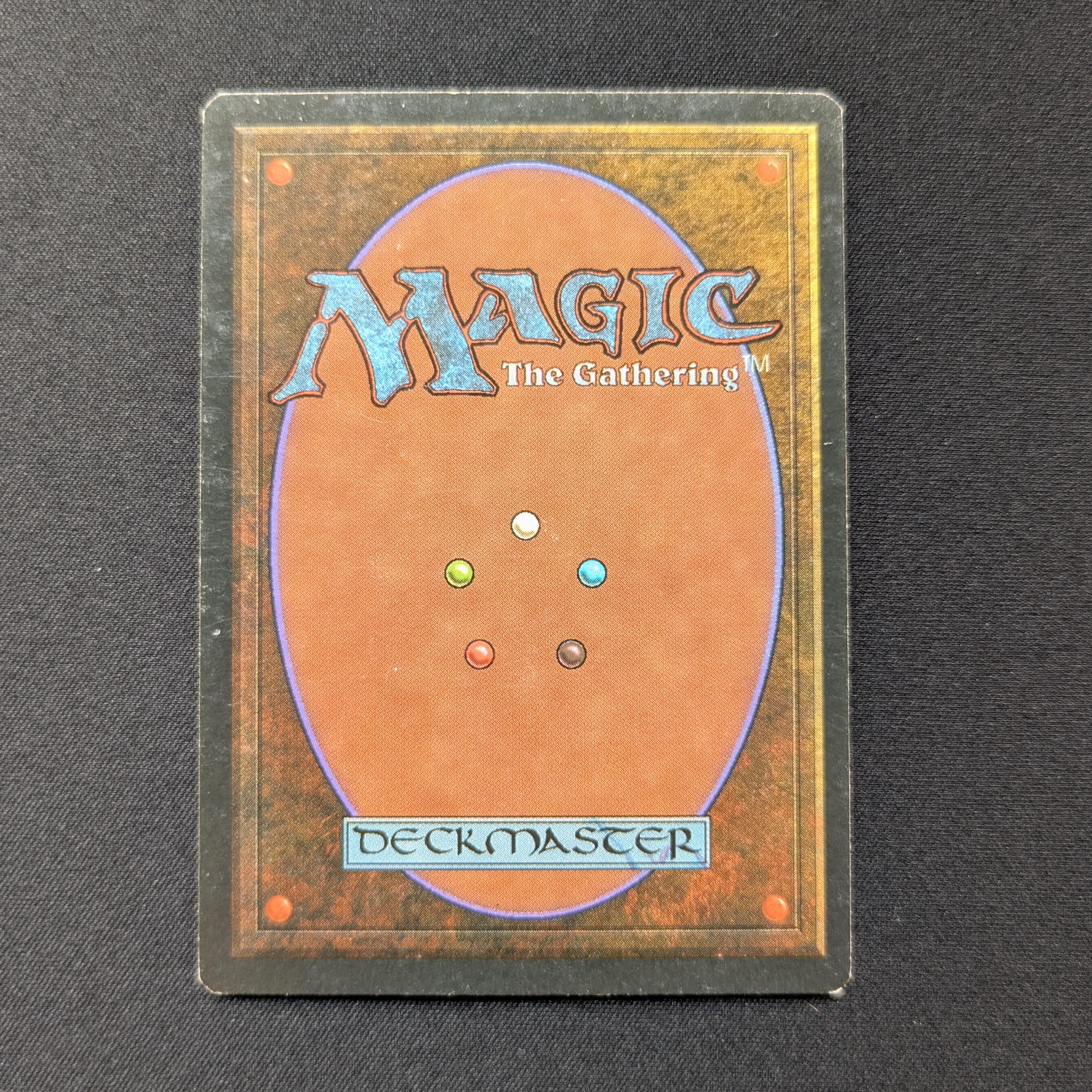 MTG Singles - Taiga - Foreign White Bordered -