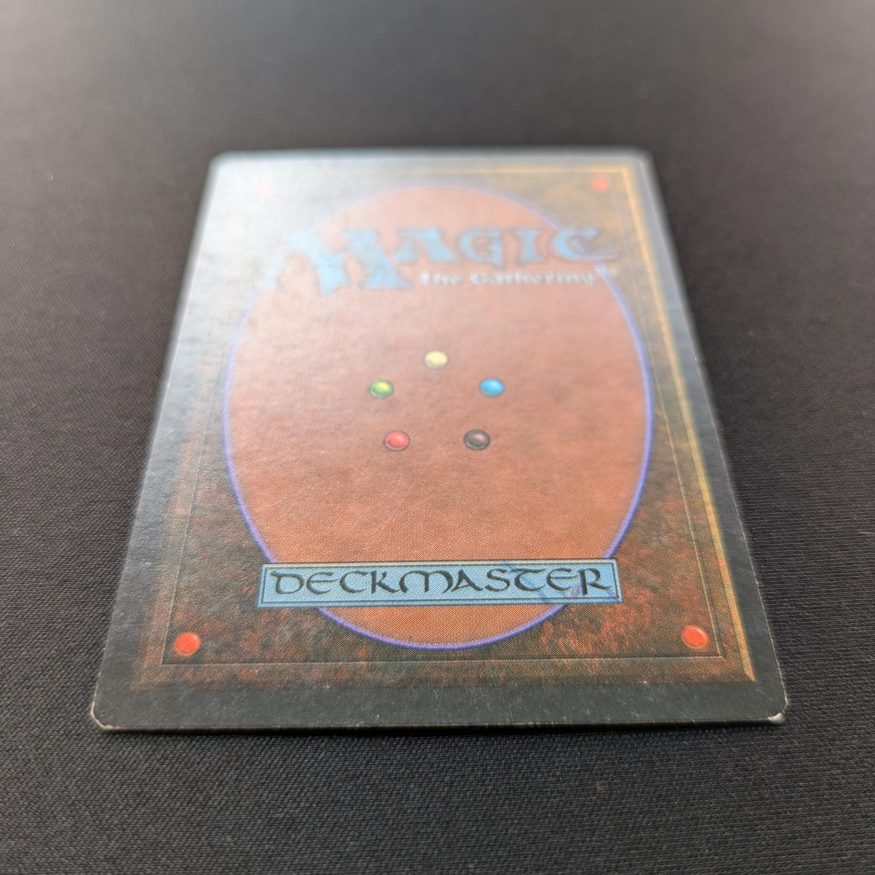 MTG Singles - Taiga - Foreign White Bordered -