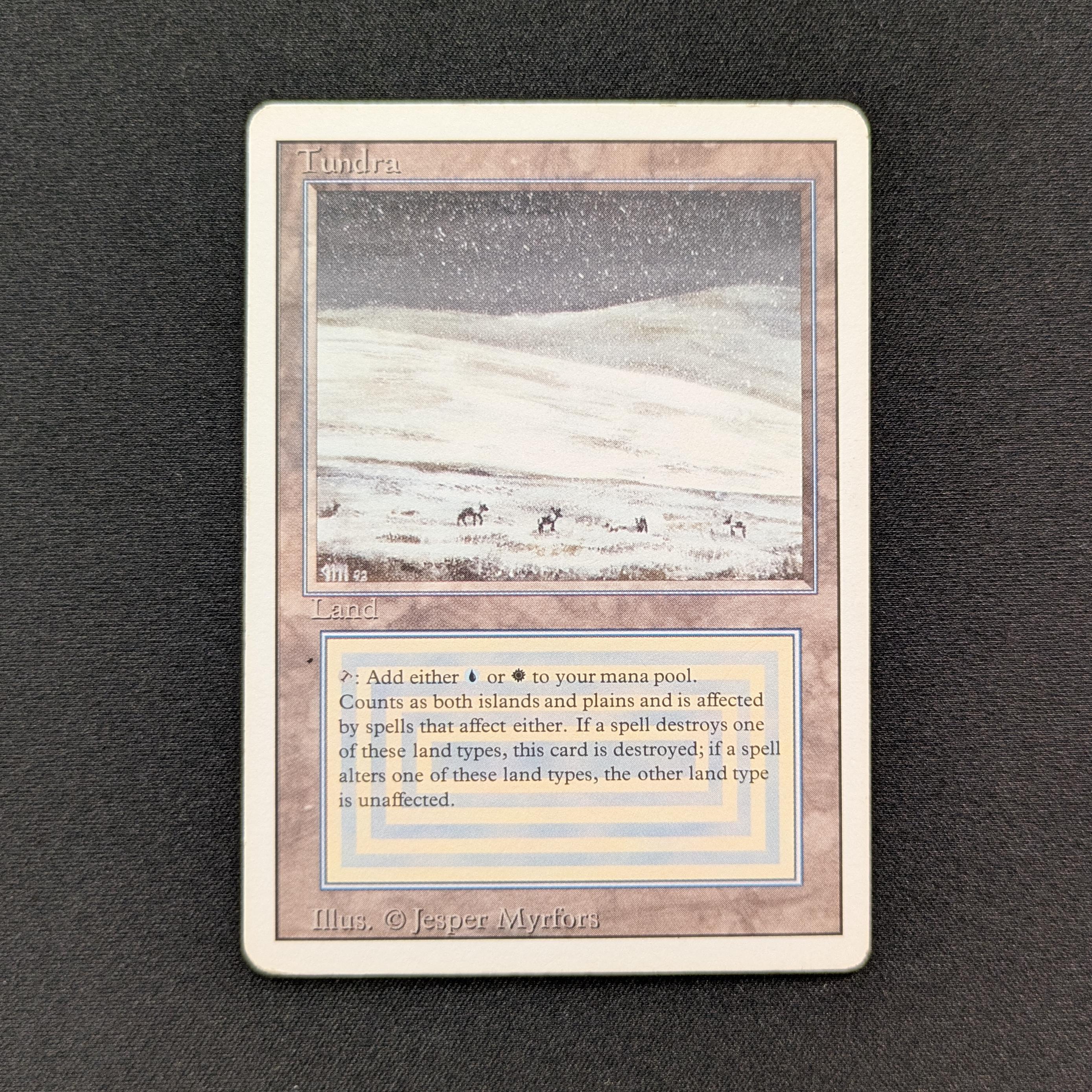 MTG Singles - Tundra - Revised - LP - 29084