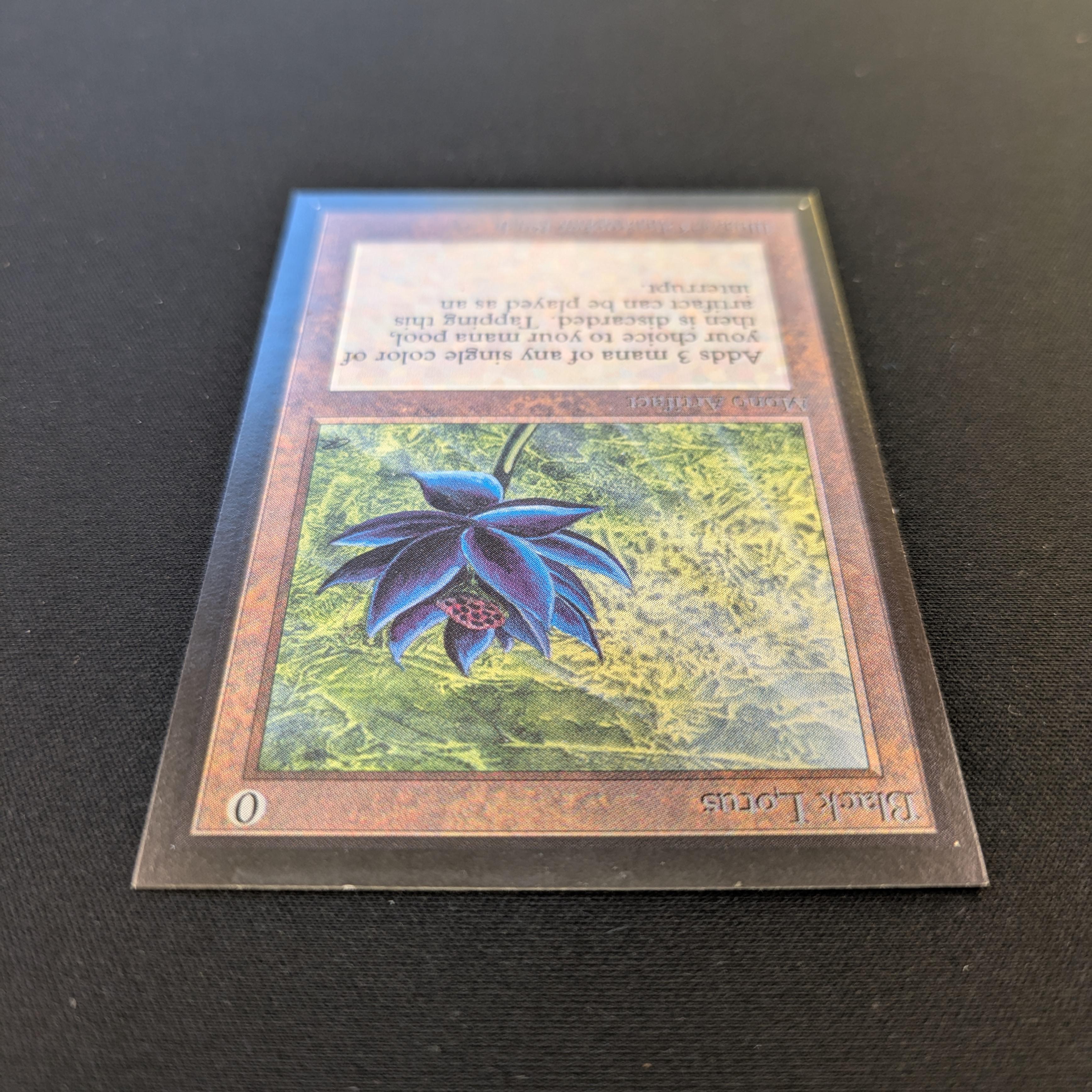 MTG Singles - Black Lotus - International Edition -